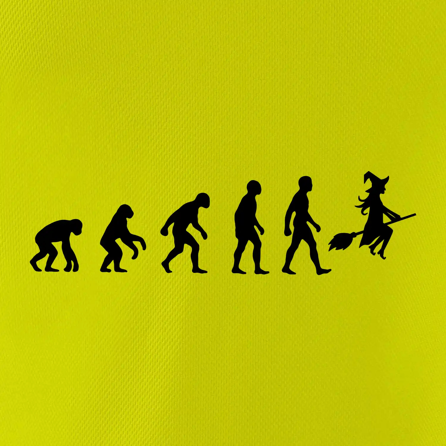 Evoluce čarodějnice