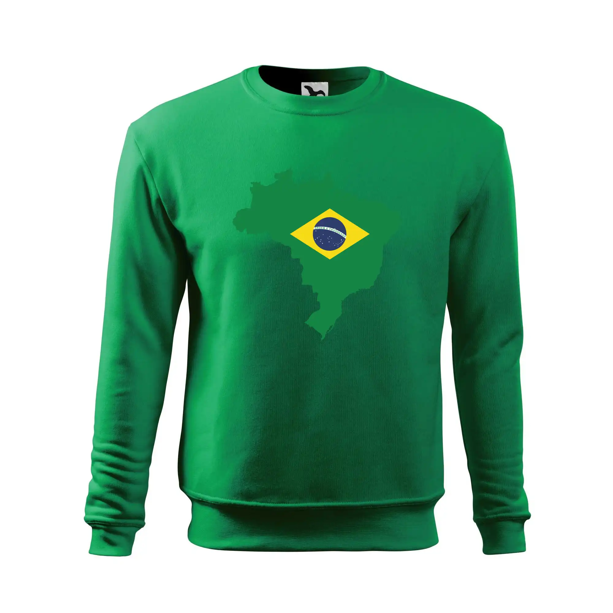 Brazílie vlajka v mapě