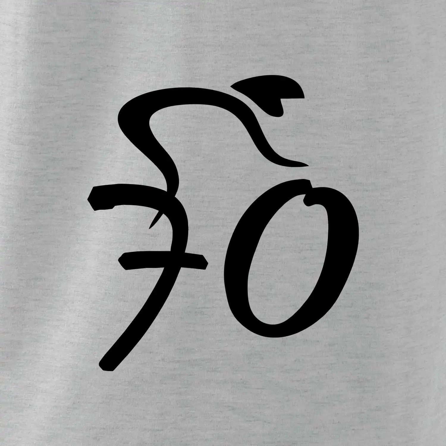 Cyklista slaví sedmdesátku (70)