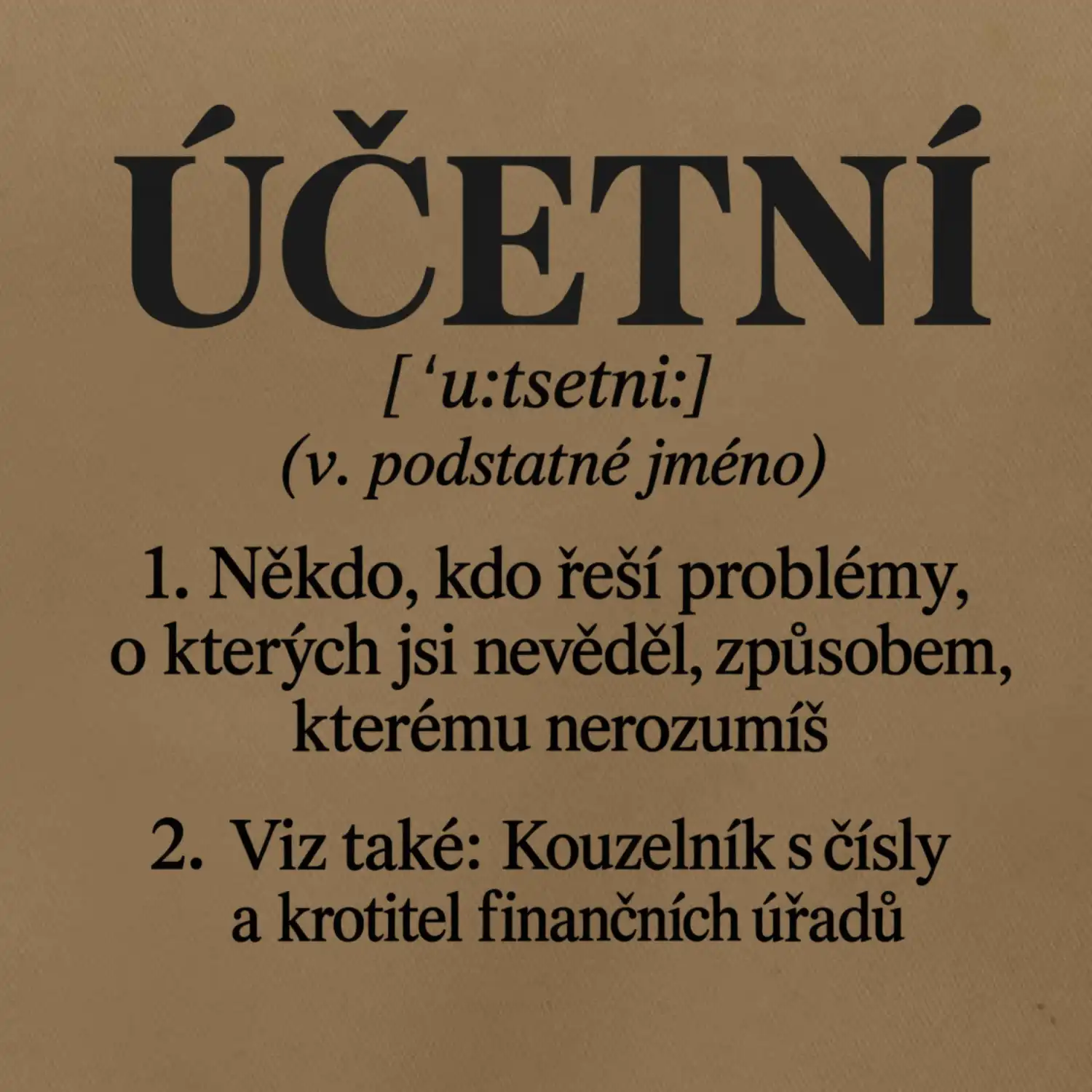 Účetní definice s humorem