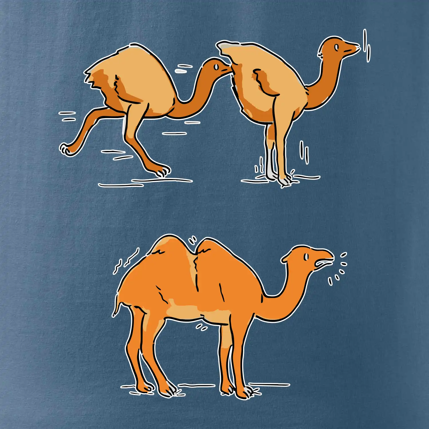 Pravda o velbloudech