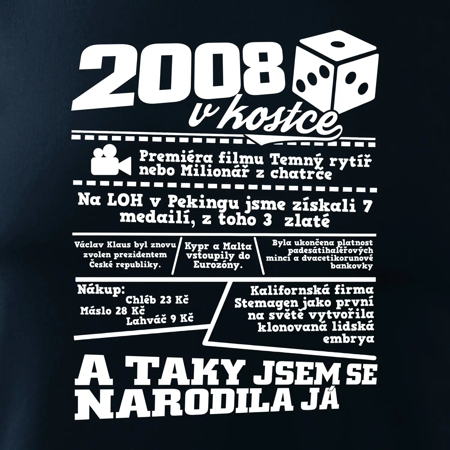 2008 v kostce