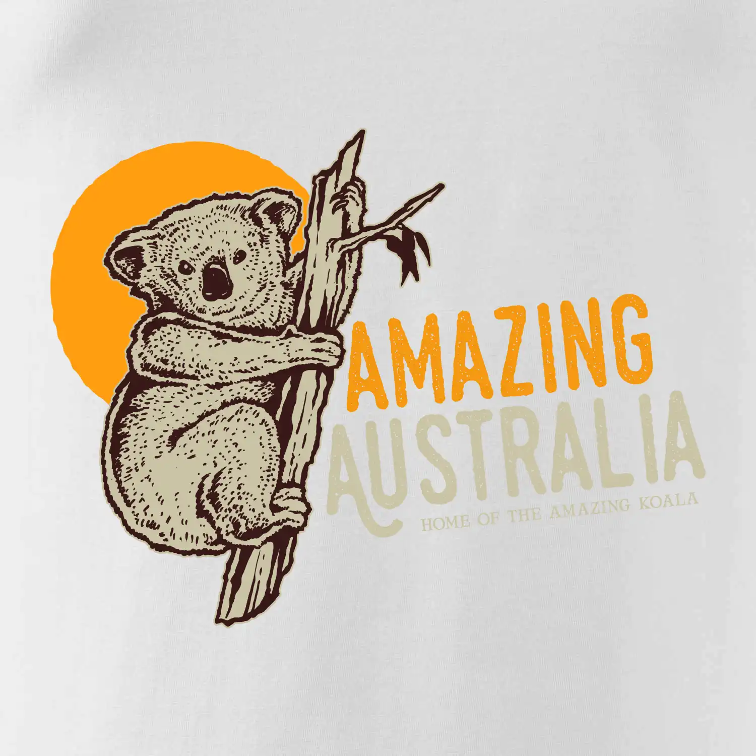Amazing Australia koala
