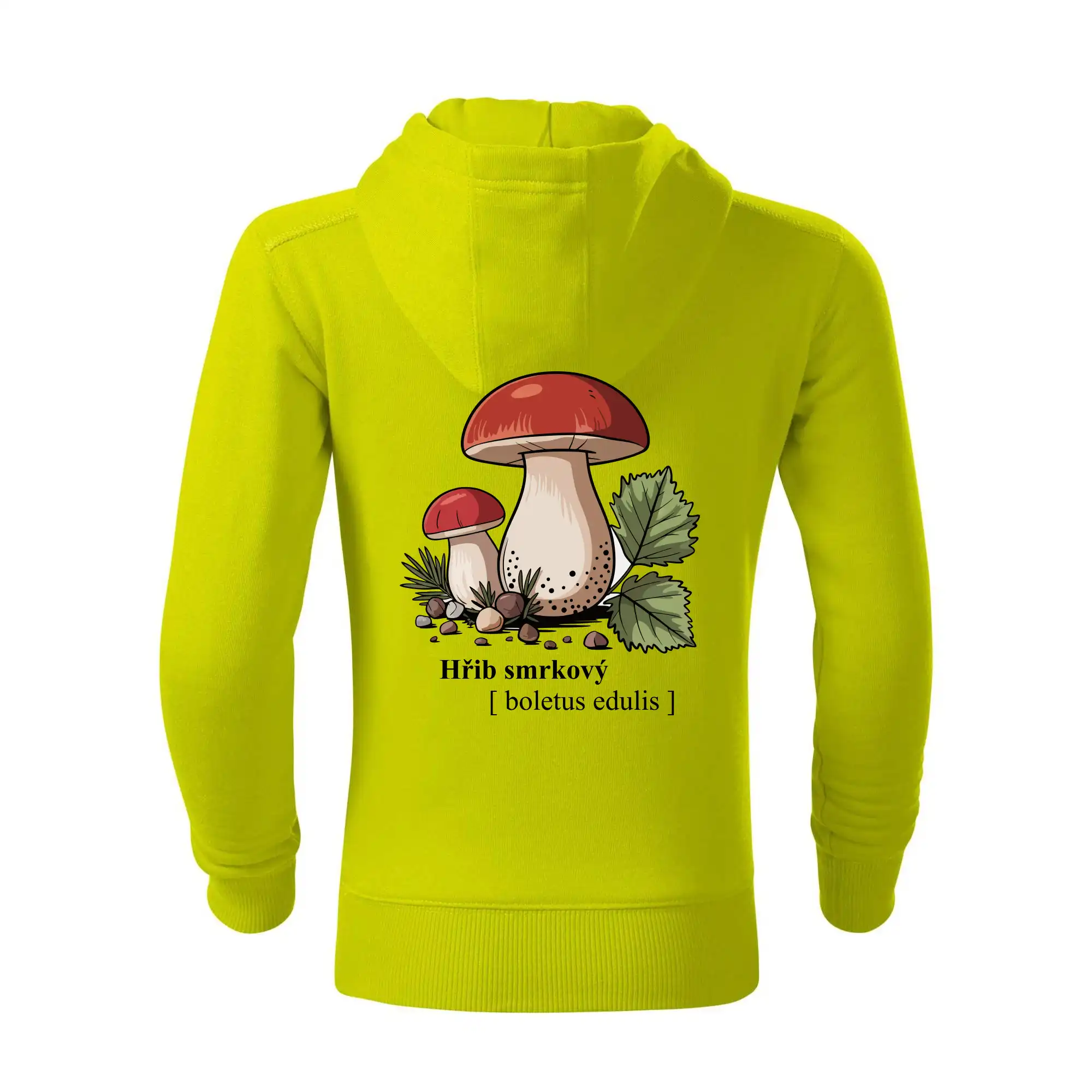 Hřib smrkový - Boletus edulis kreslený