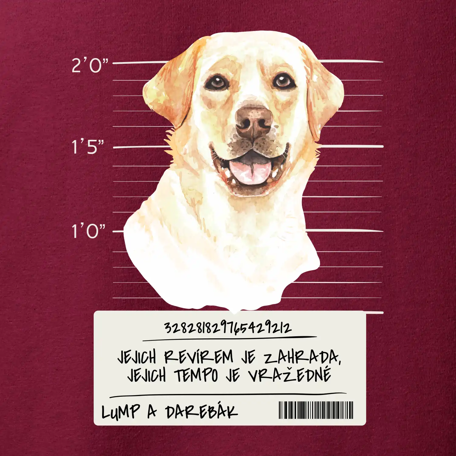 Lump a darebák labrador