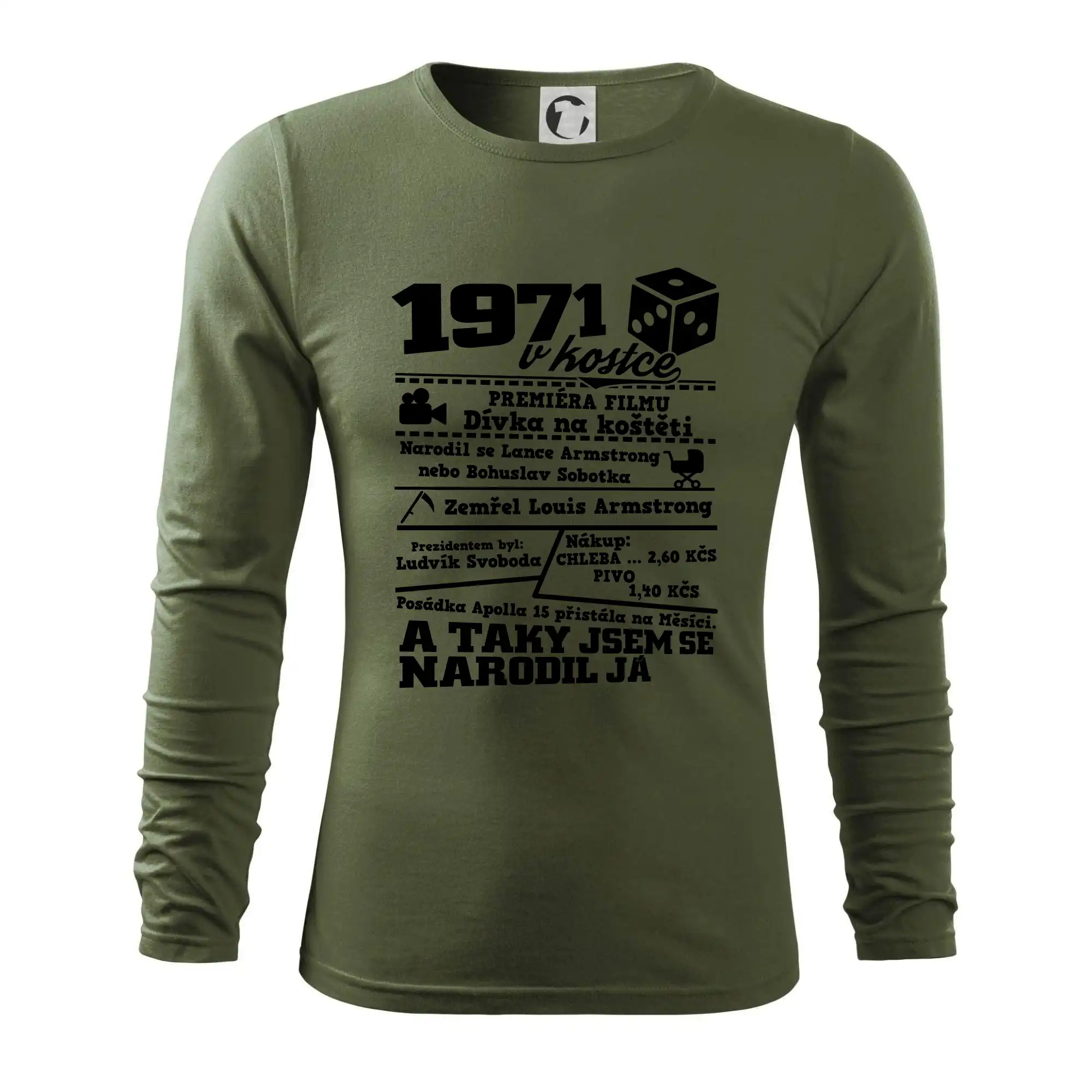 1971 v kostce