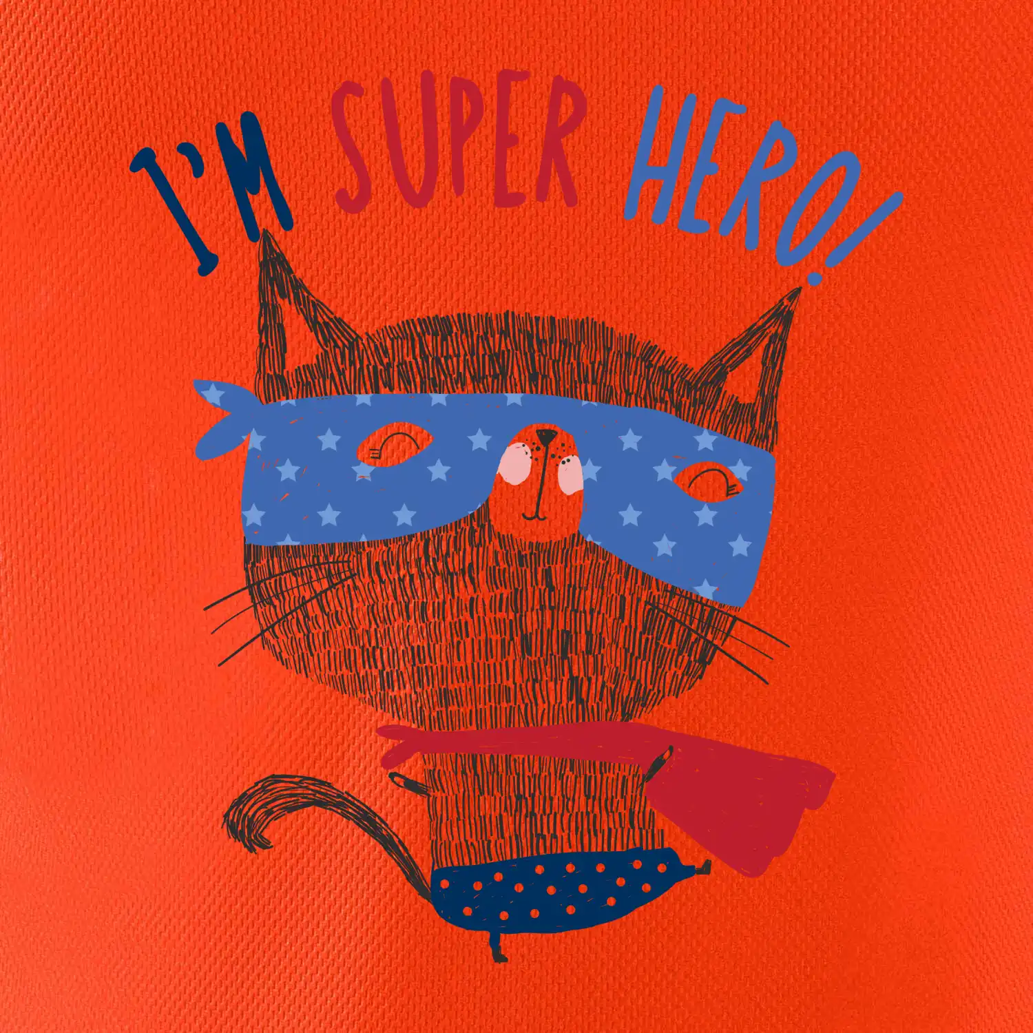 Super hero kočka
