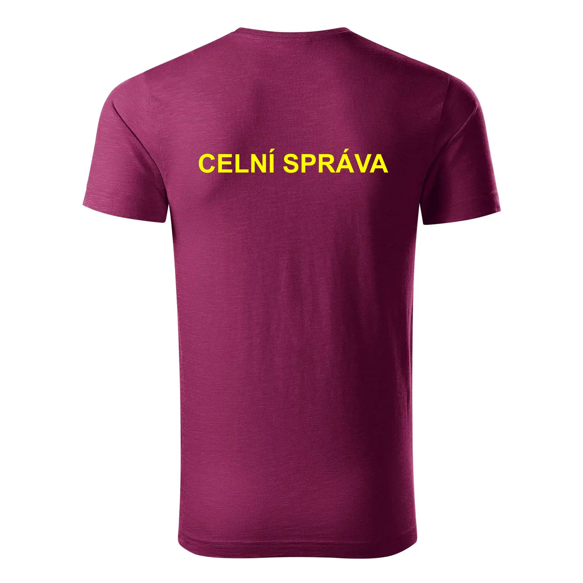 Celní správa