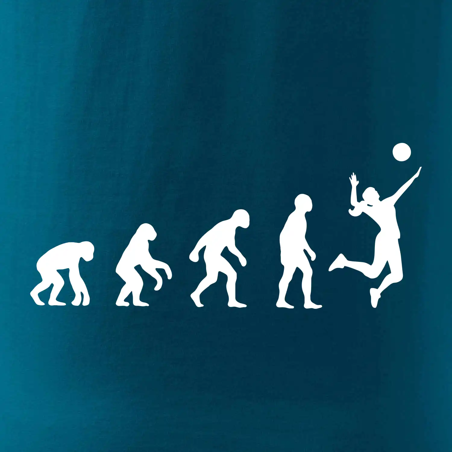 Evoluce volejbal culík