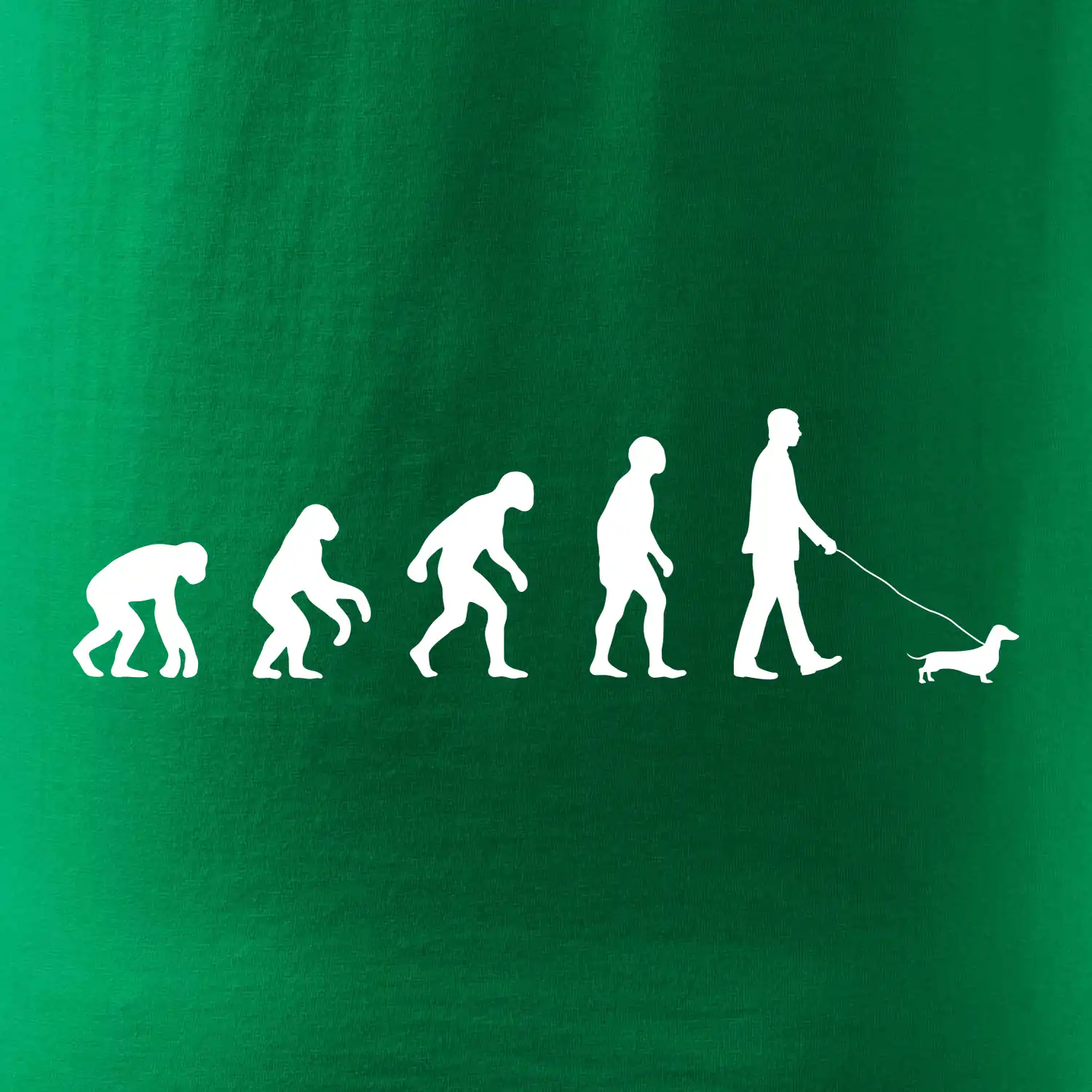 Jezevčík Evoluce muž / žena