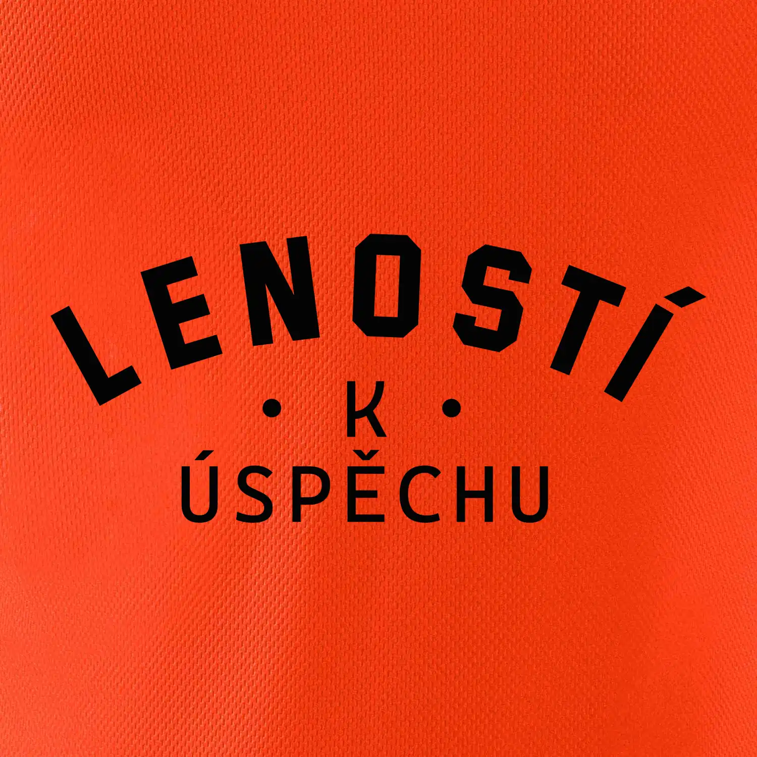 Leností k úspěchu - tiskací