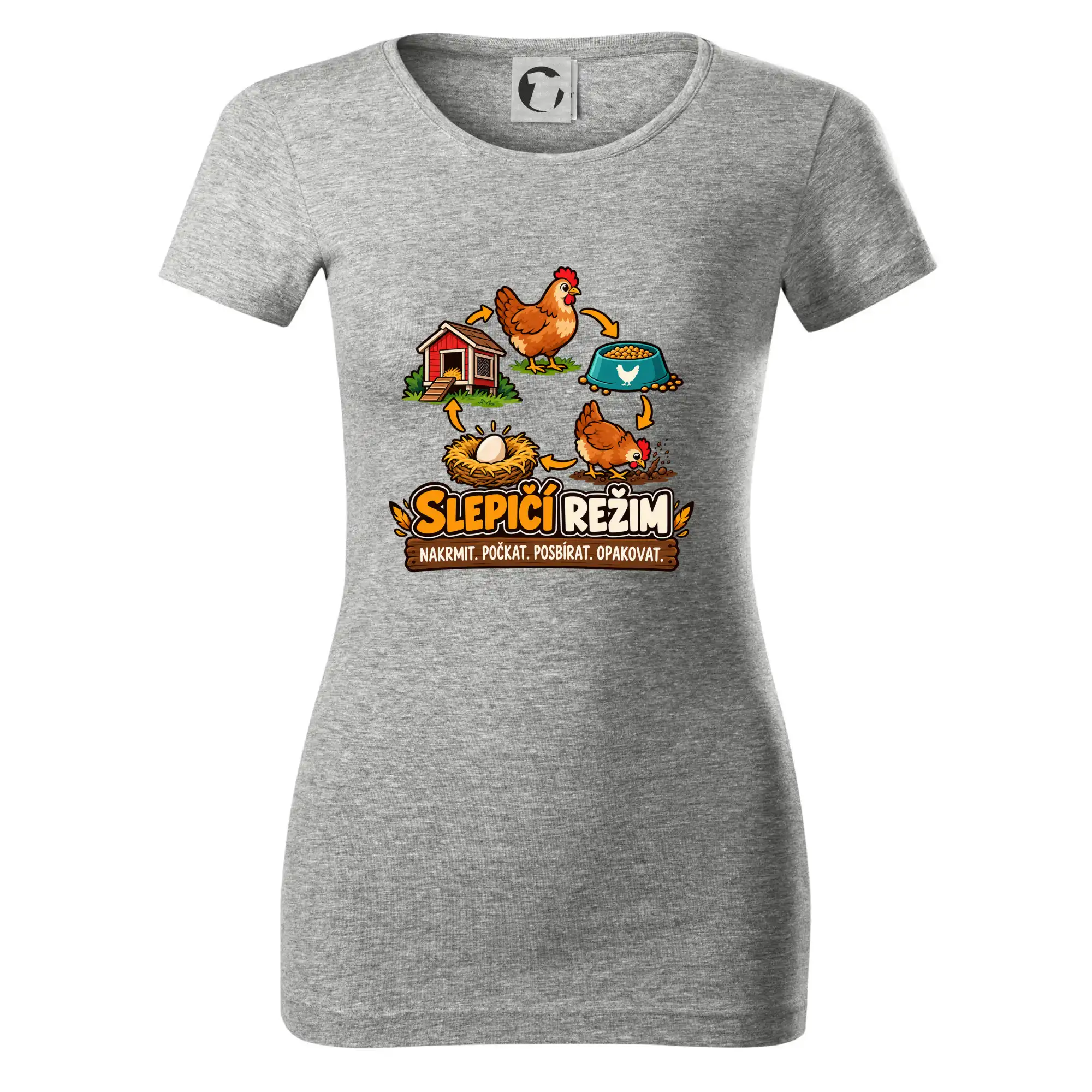 Slepičí režim od krmení po sběr vajec