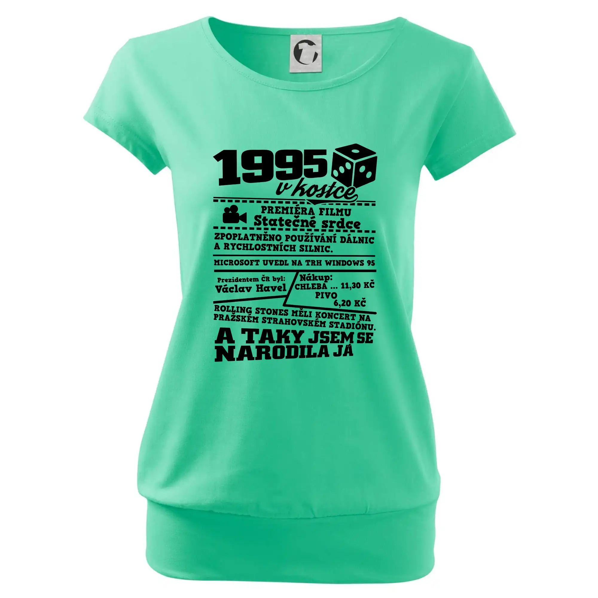 1995 v kostce