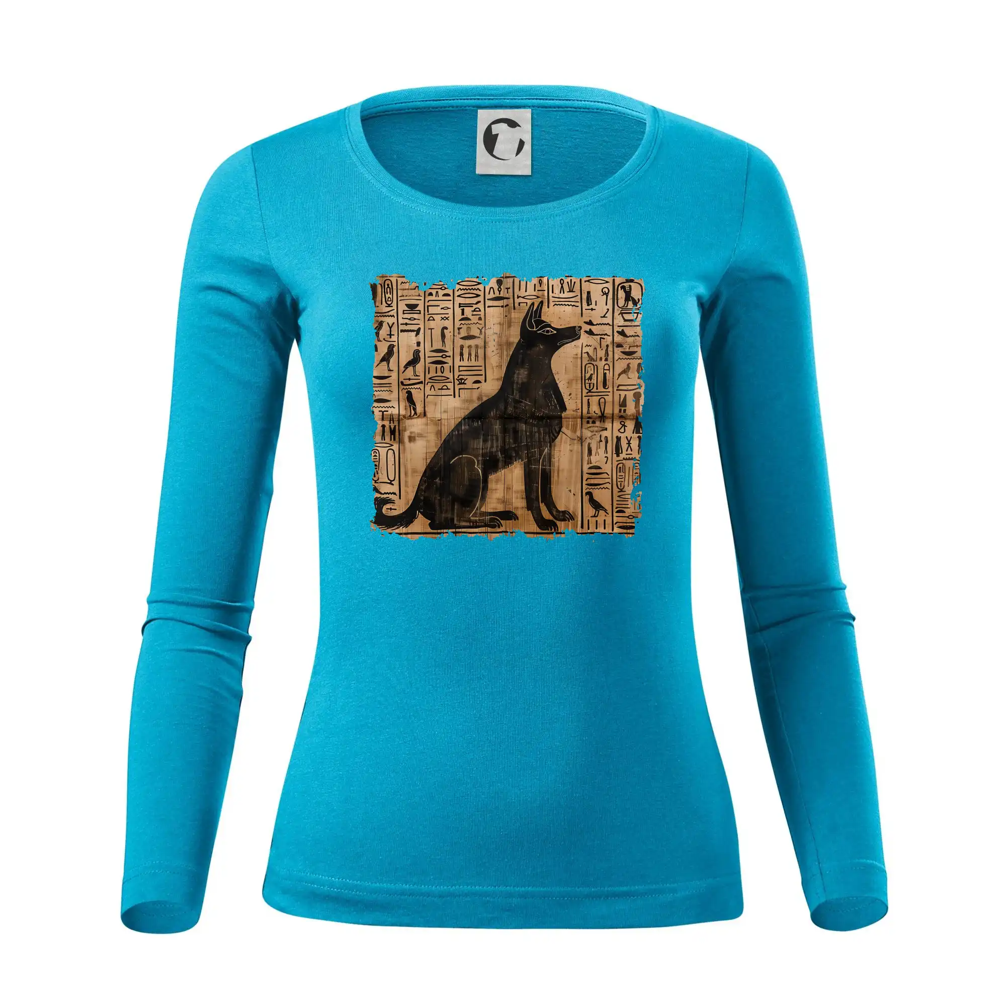 Egyptské hieroglyfy pes