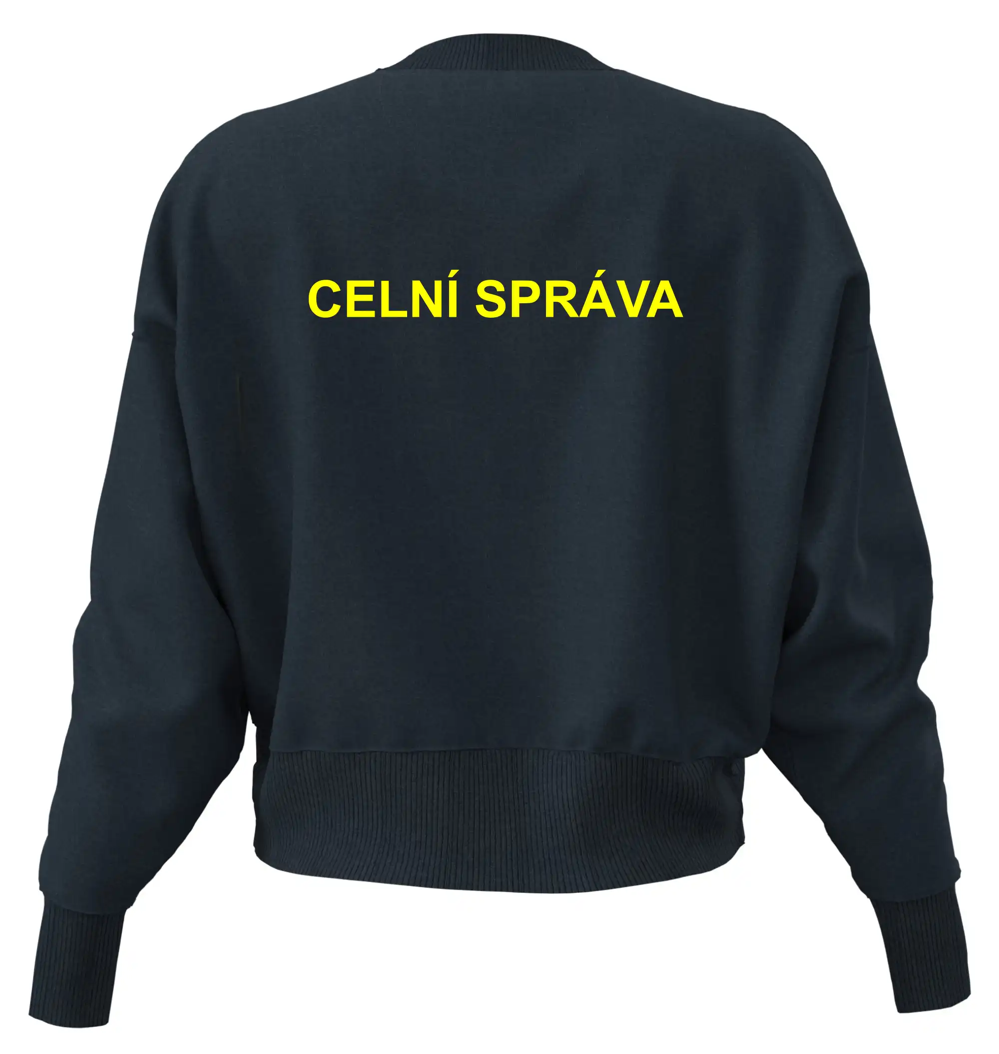 Celní správa