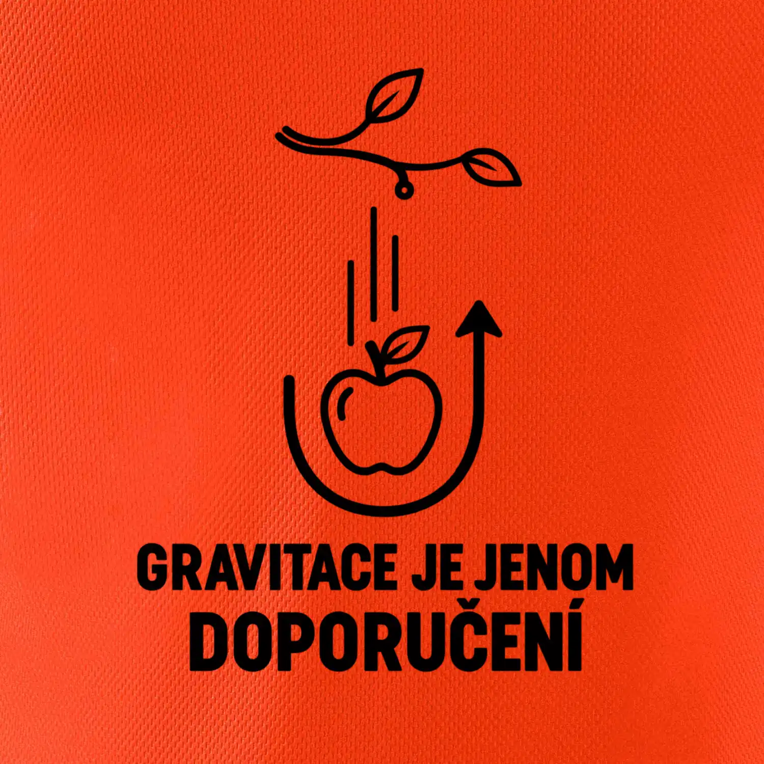 Gravitace je jenom doporučení