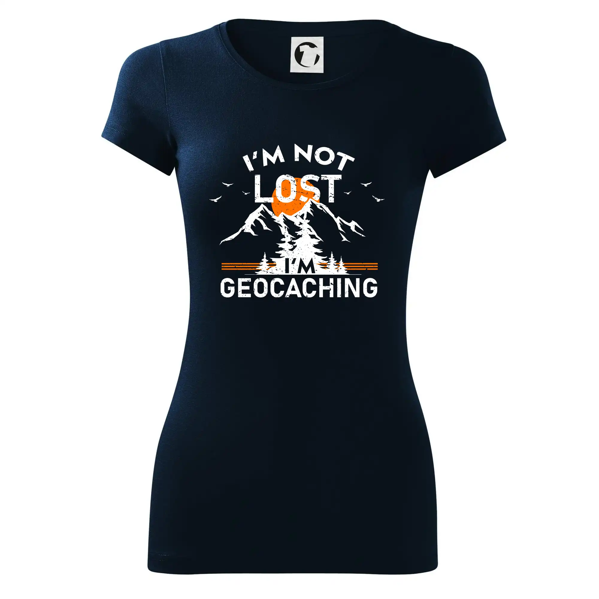 Im not lost - geocaching