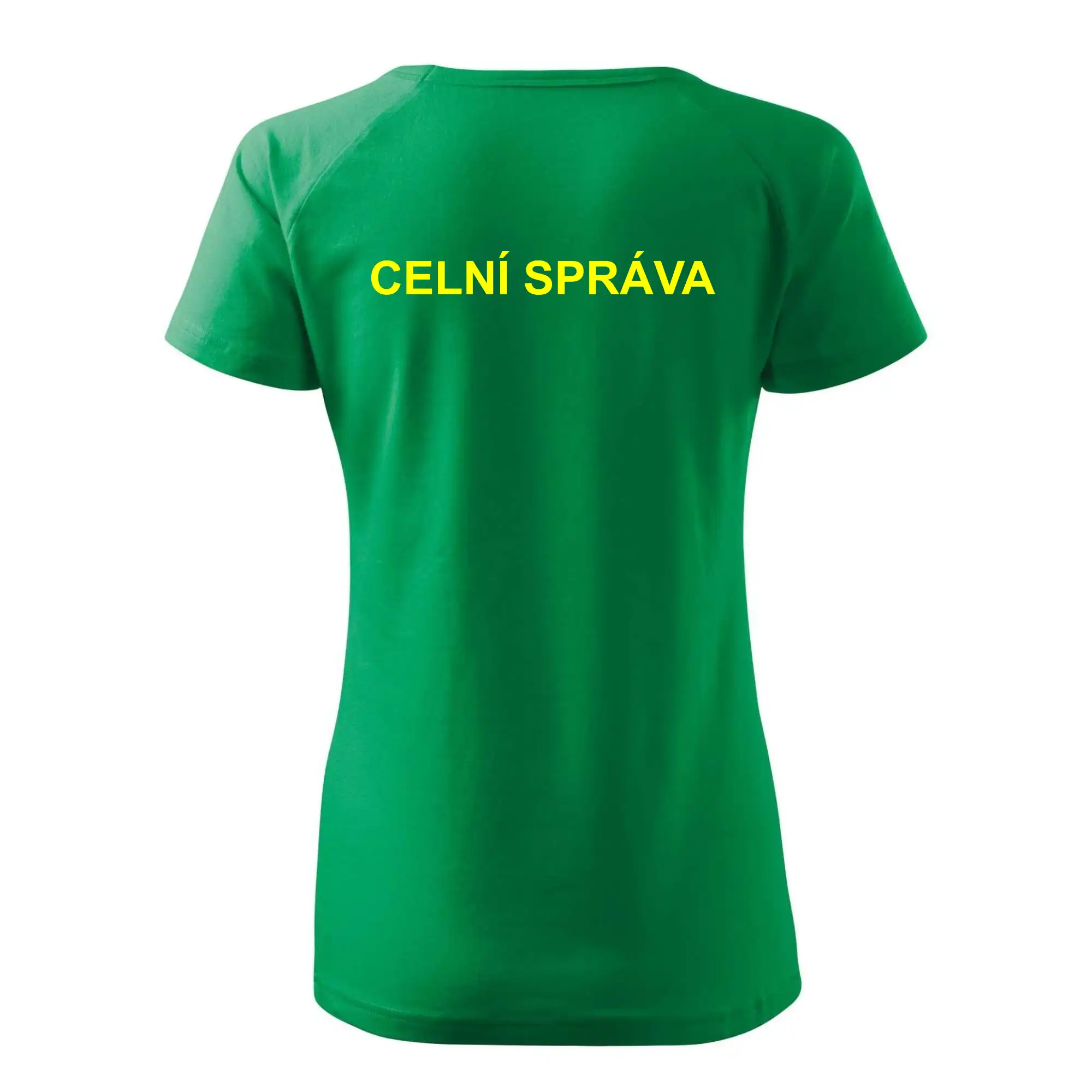 Celní správa
