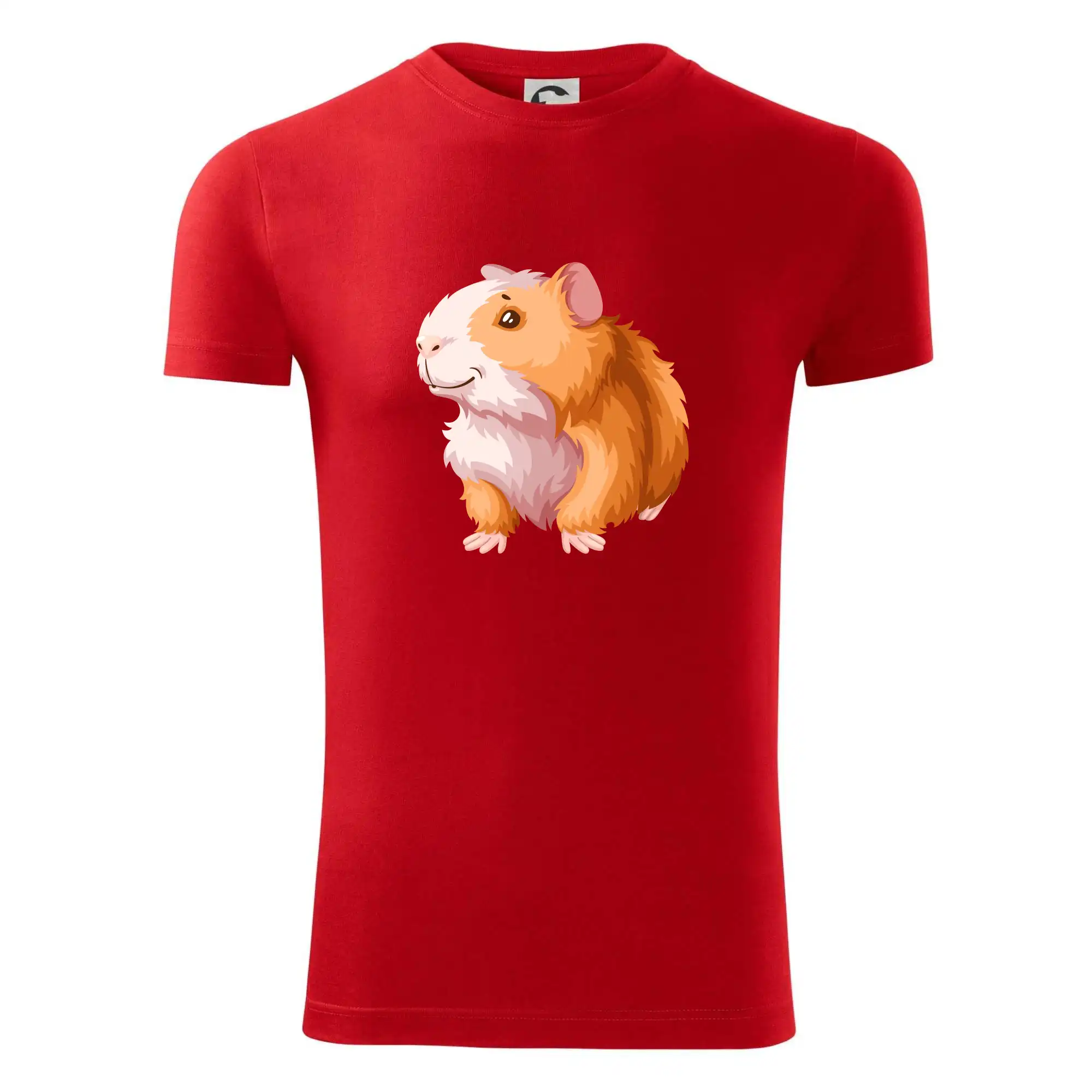 Morče - kreslené, bílo oranžové