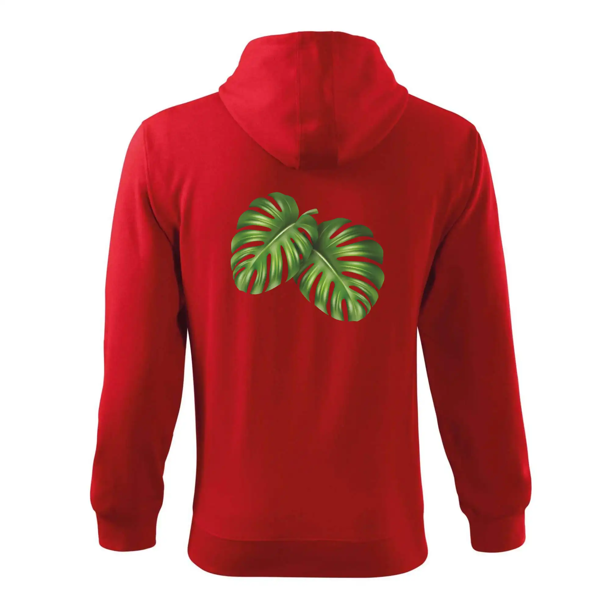 Monstera - dva listy