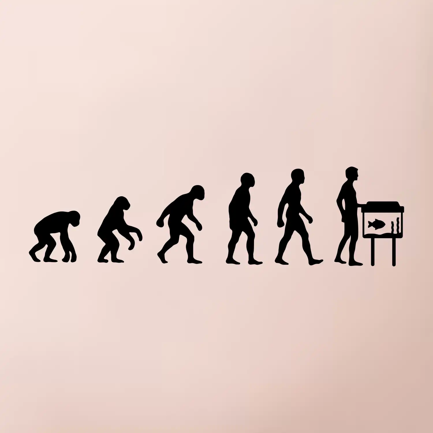 Evoluce akvaristika