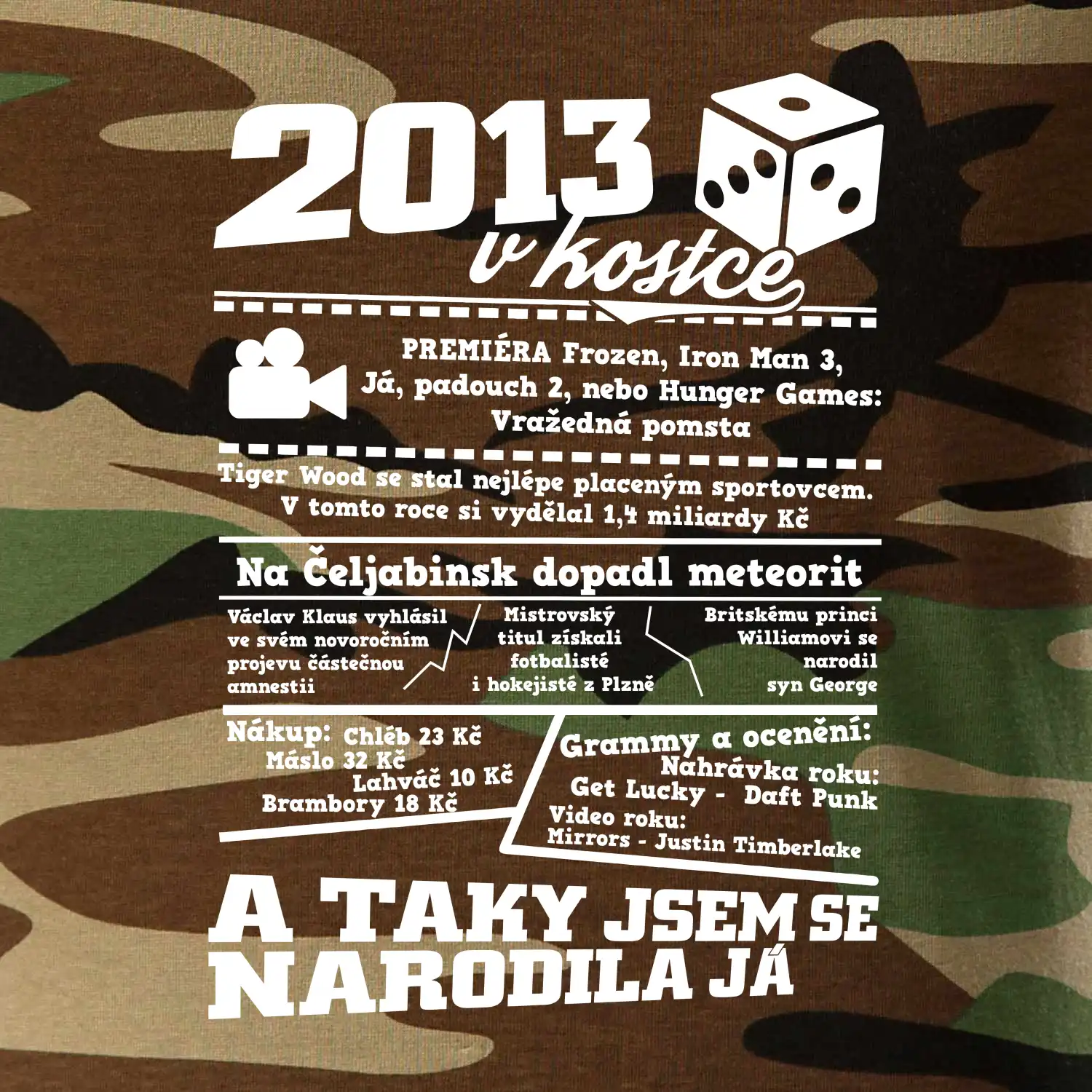 2013 v kostce