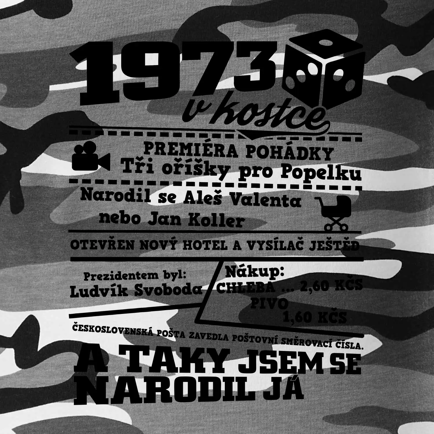 1973 v kostce