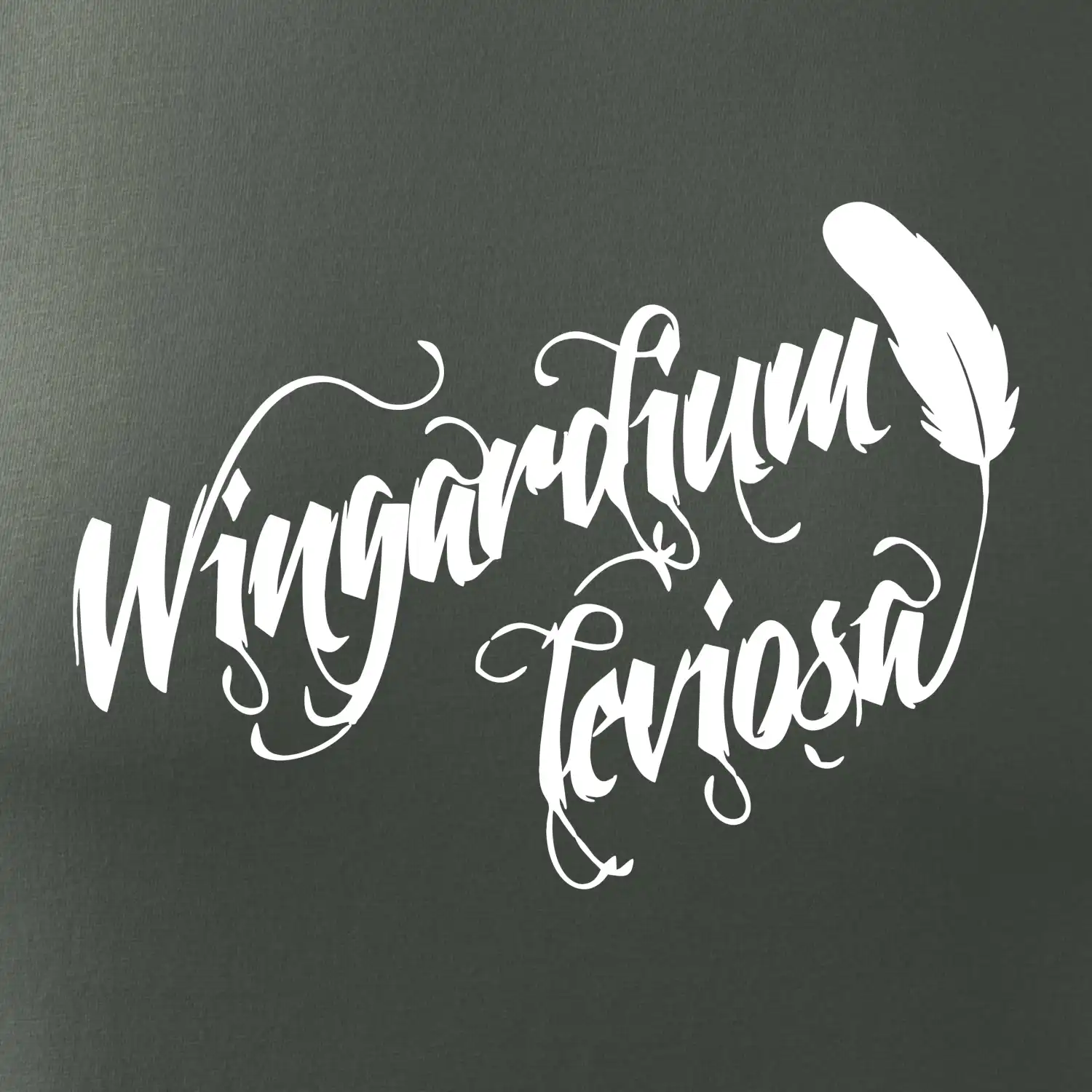 Harry - Wingardium Leviosa