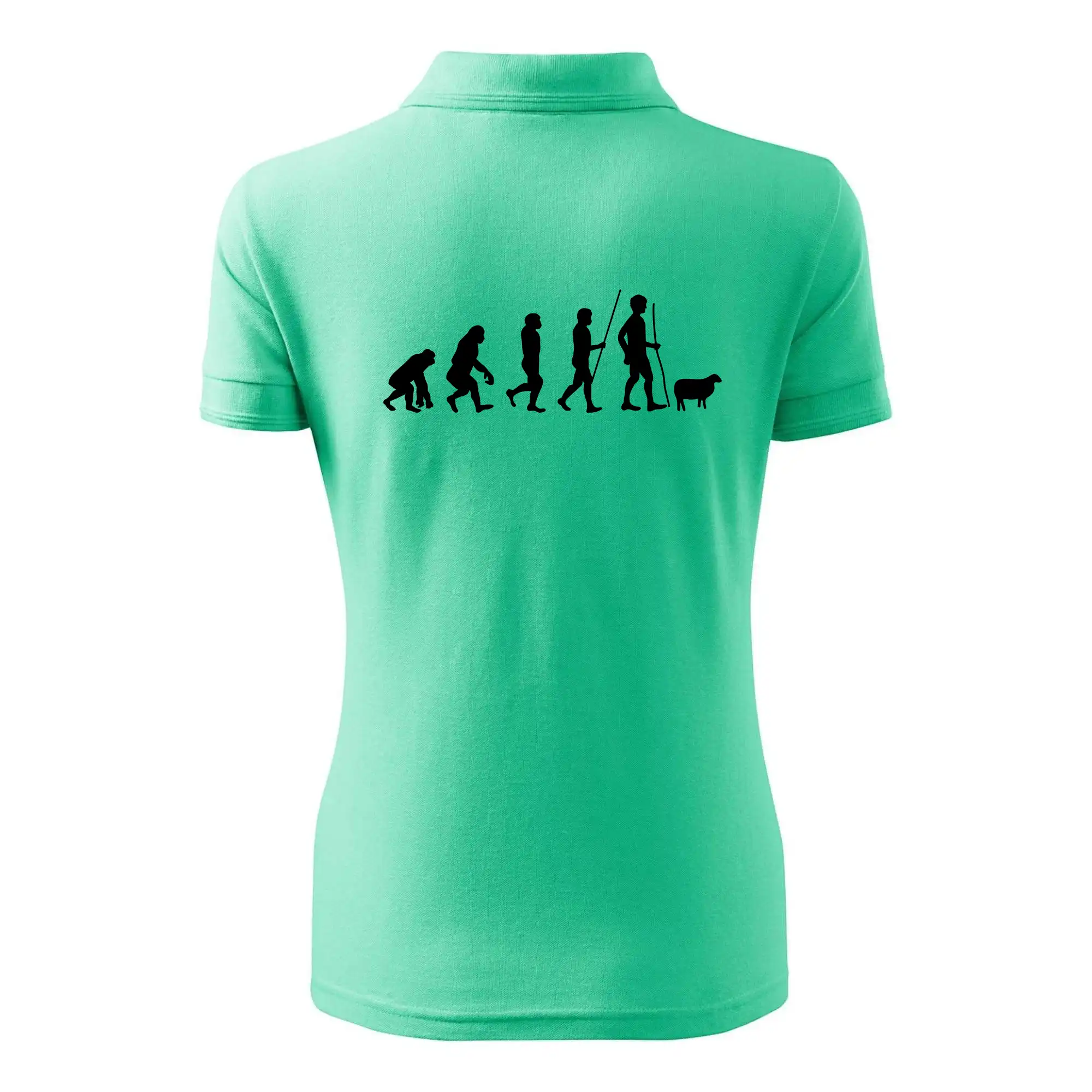 Evoluce pastevec ovcí