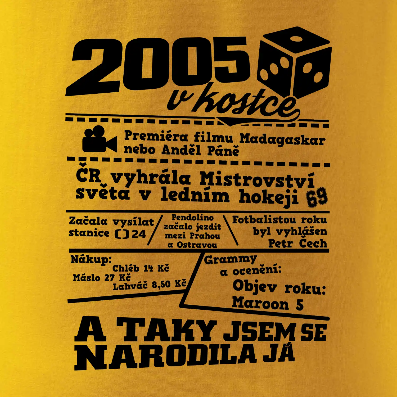 2005 v kostce