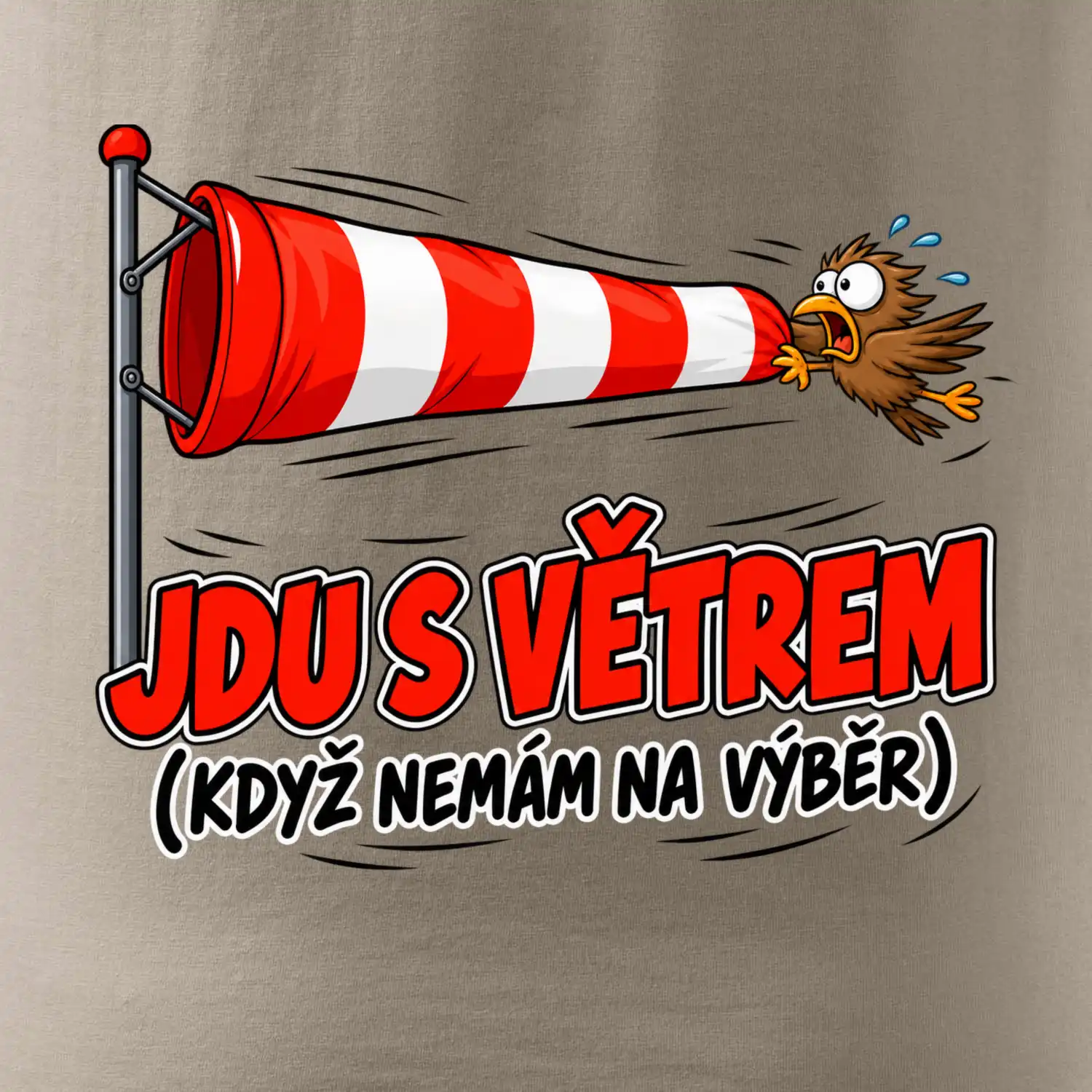 Jdu s větrem
