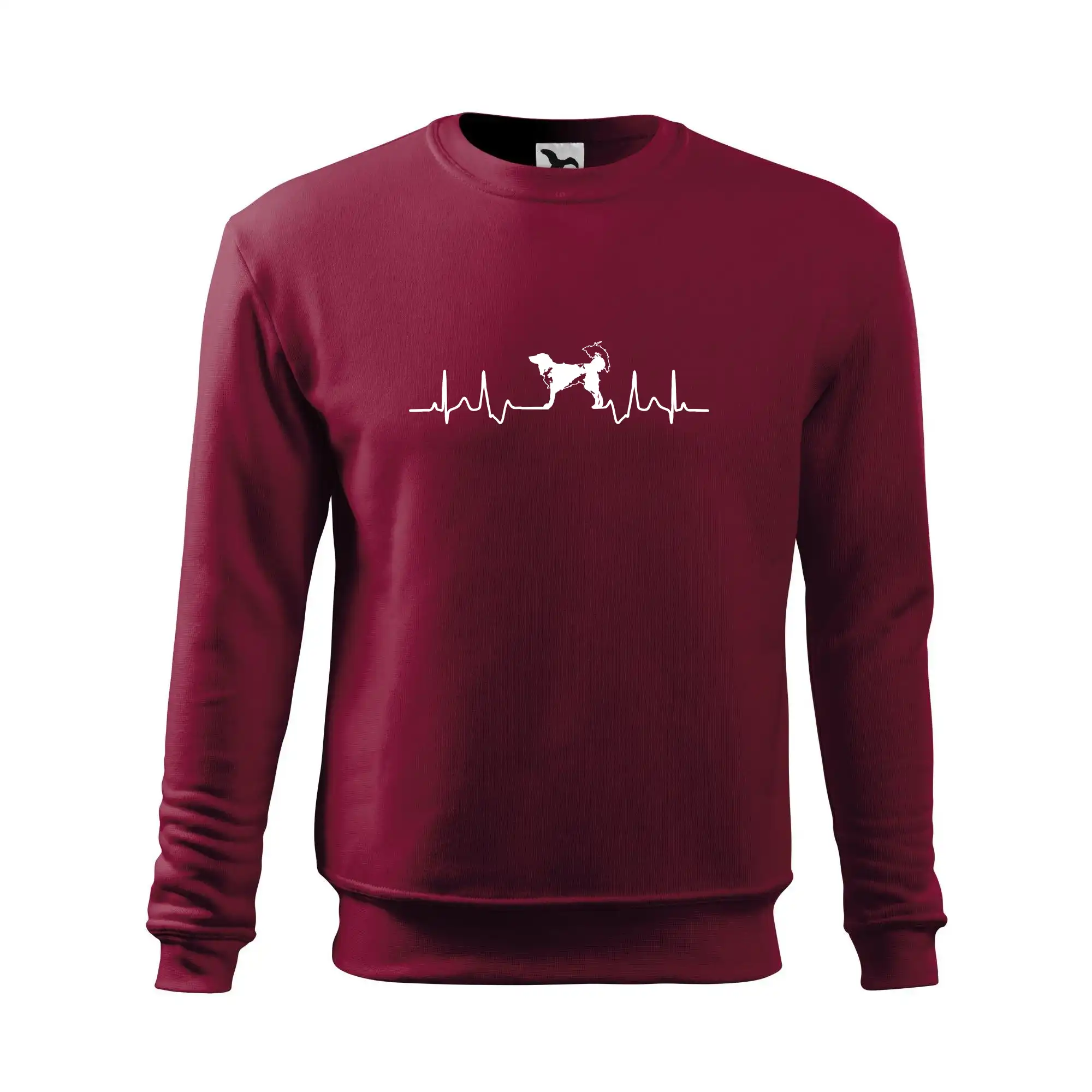 Český strakatý pes EKG