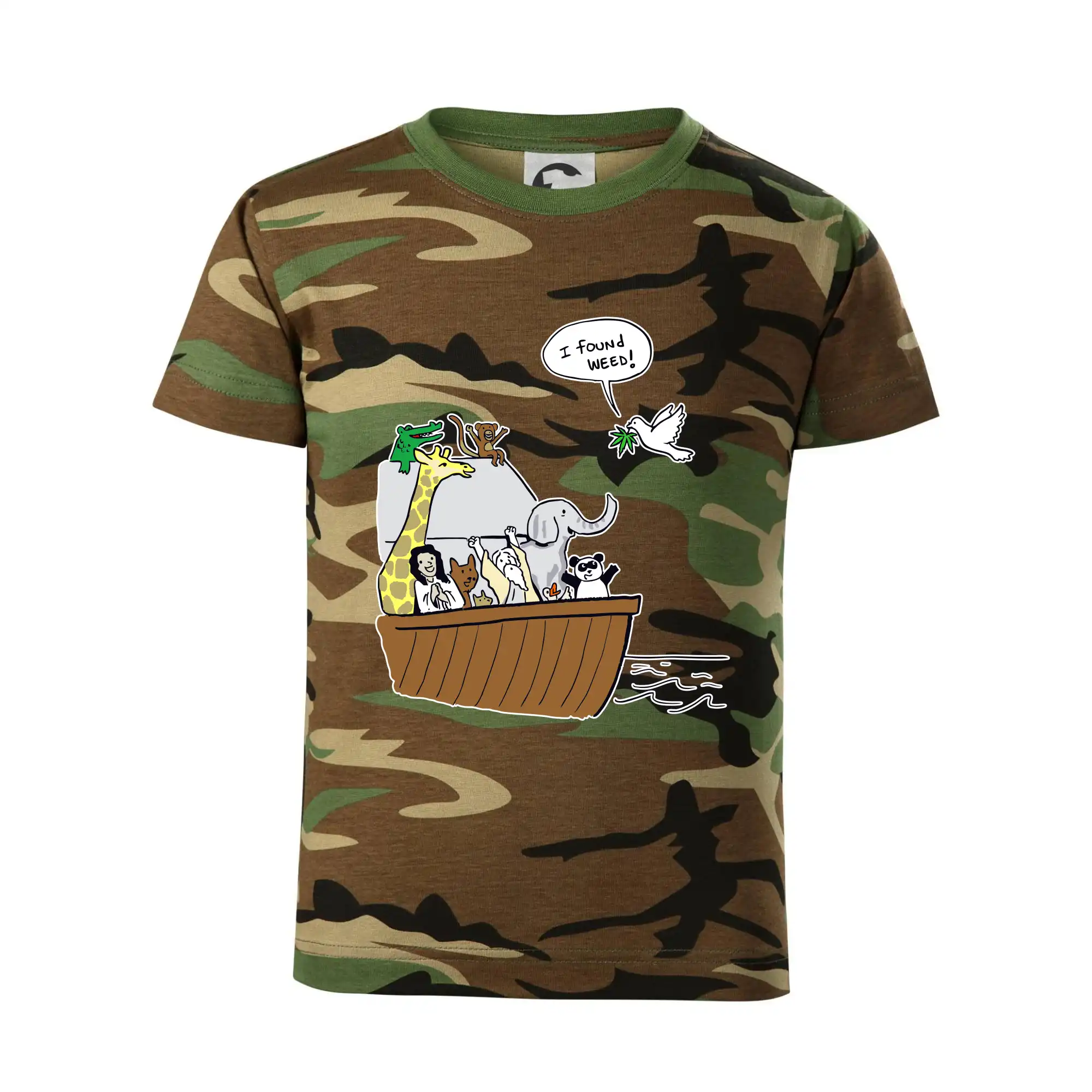 Pravda s Noemovou archou