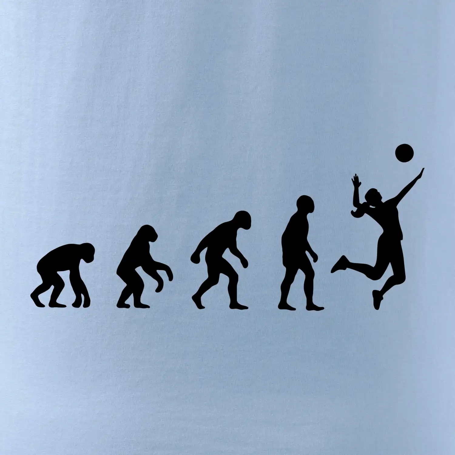 Evoluce volejbal culík