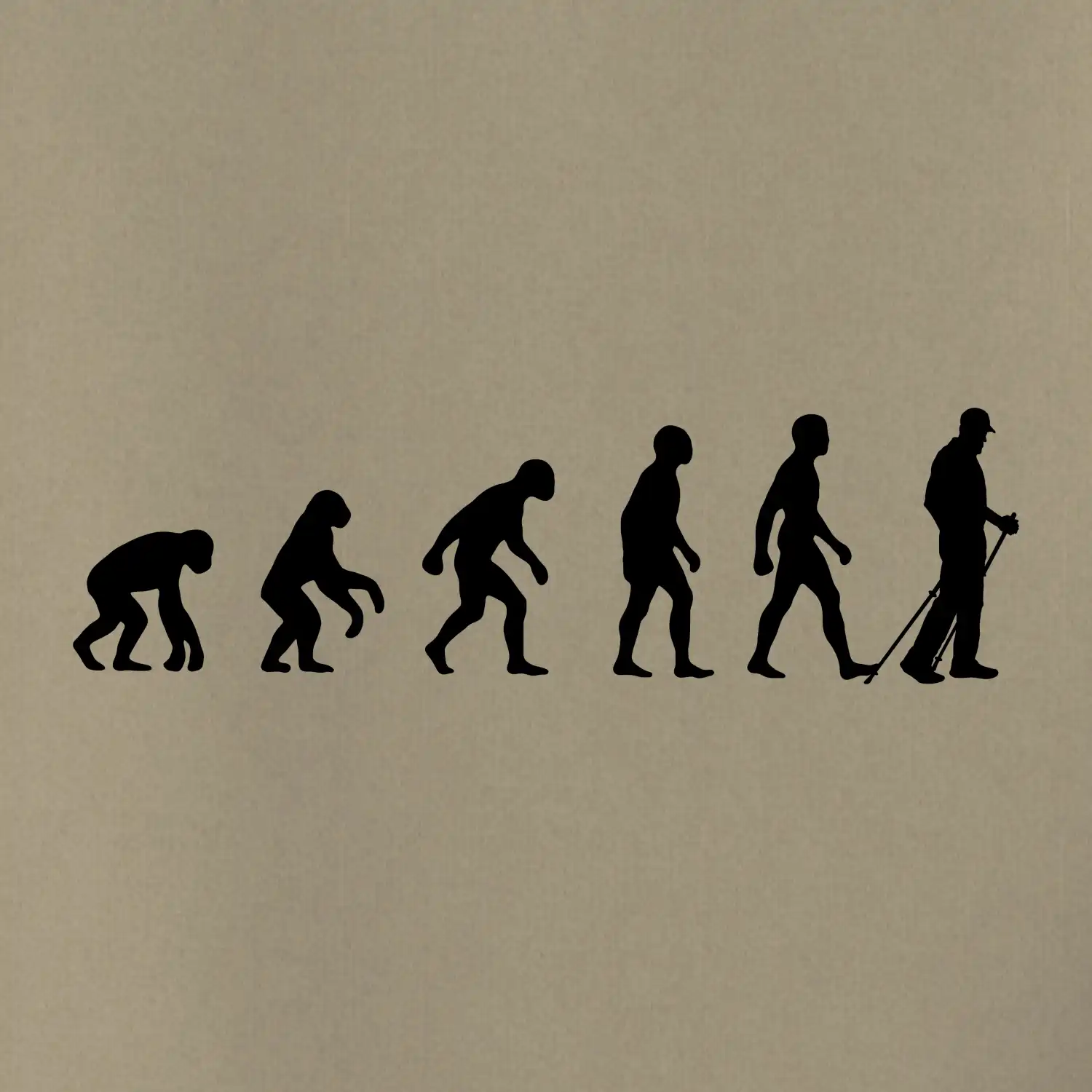 Evoluce Nordic walking