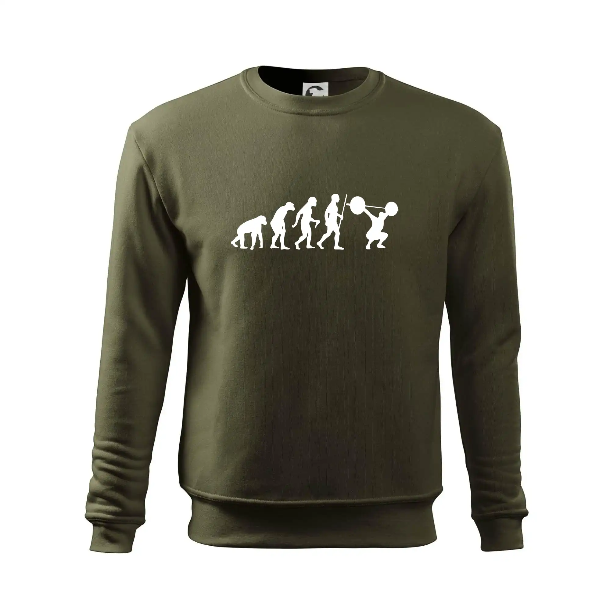 Evolution fitness