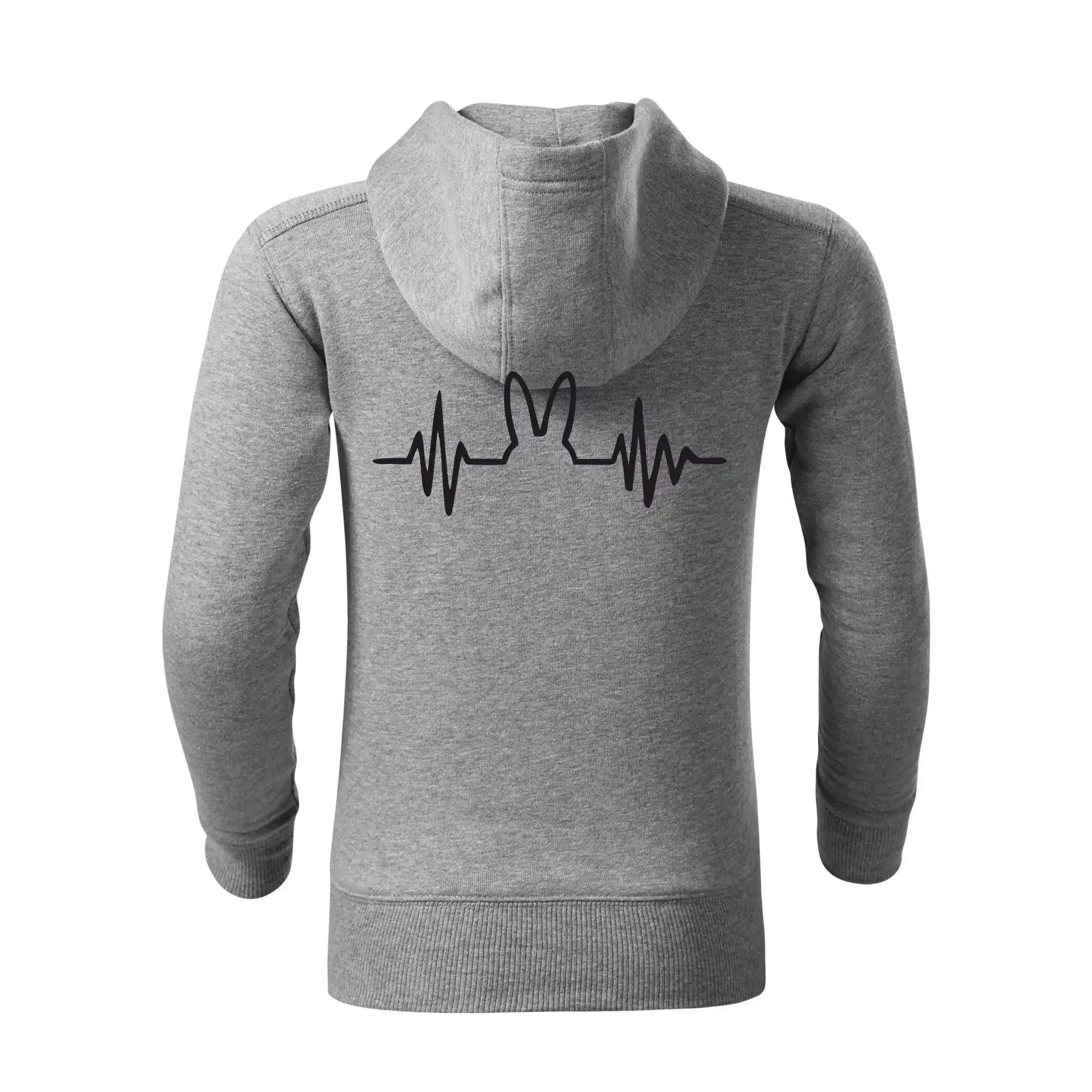 EKG zajíc