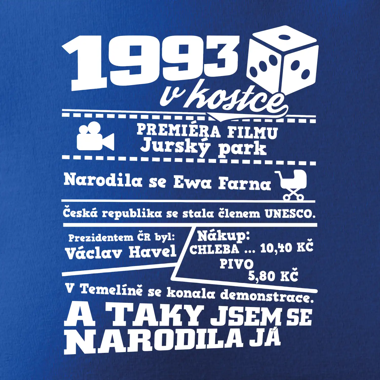 1993 v kostce