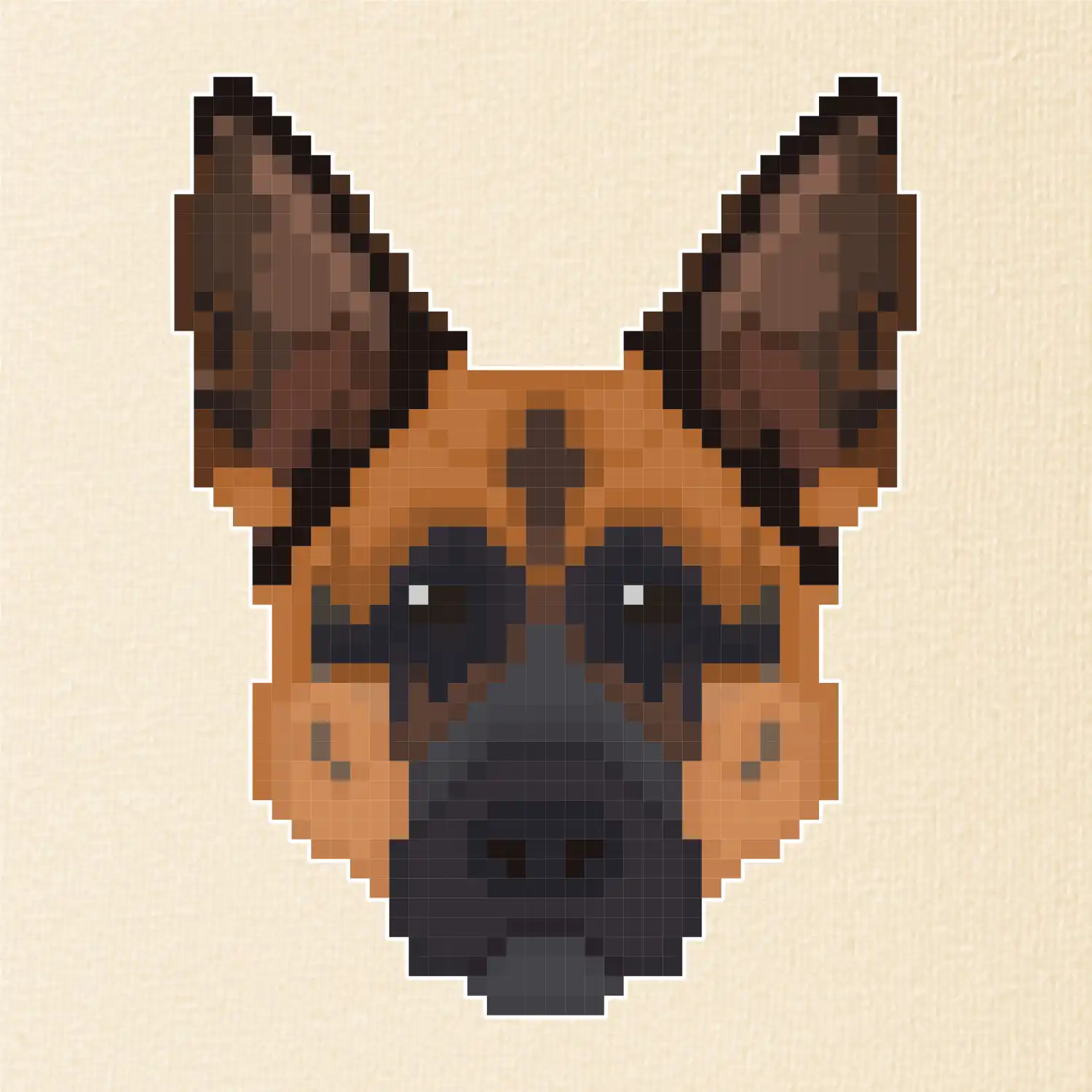 Německý ovčák - Rozkostičkovaný