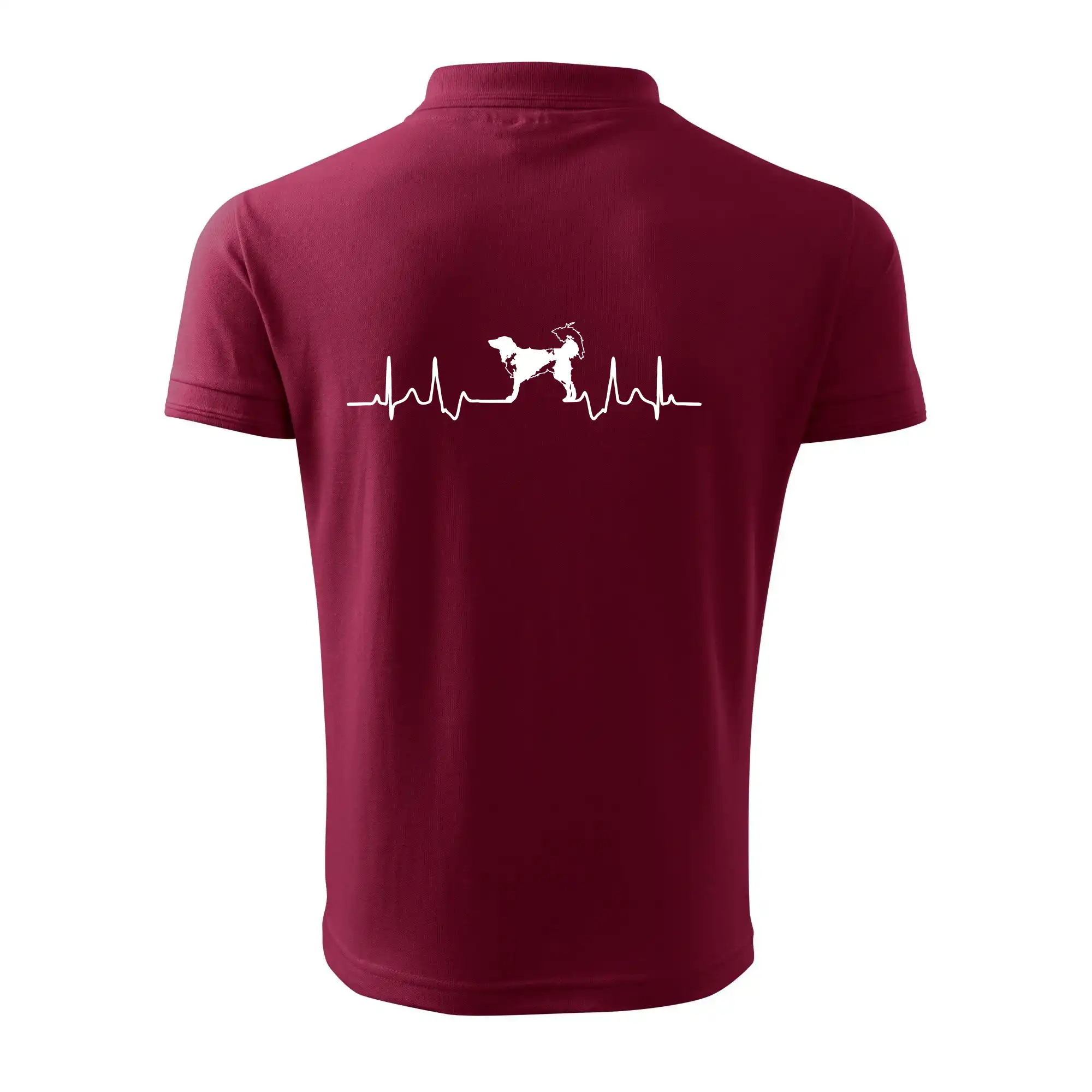 Český strakatý pes EKG