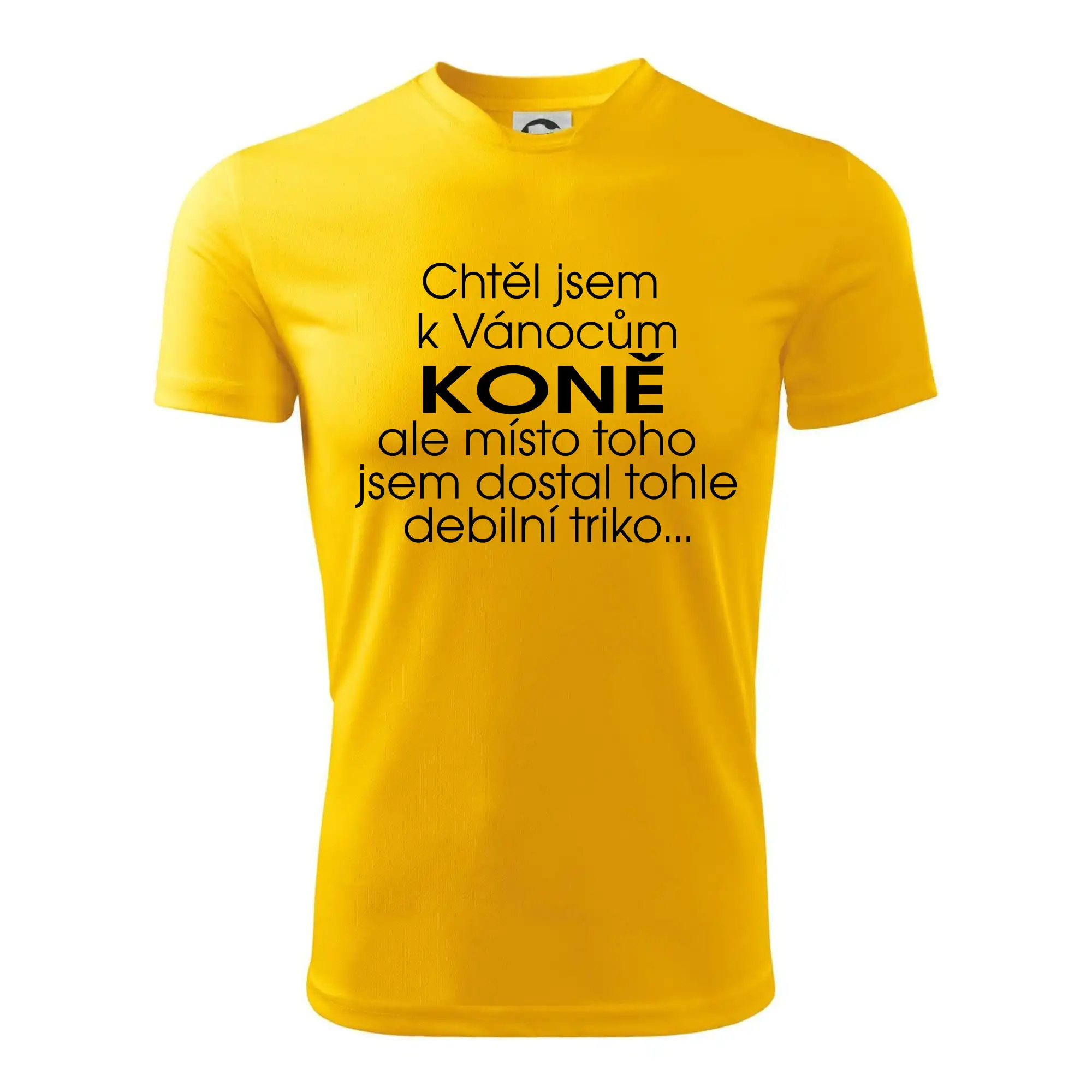 Chtěl jsem dostat k Vánocům koně