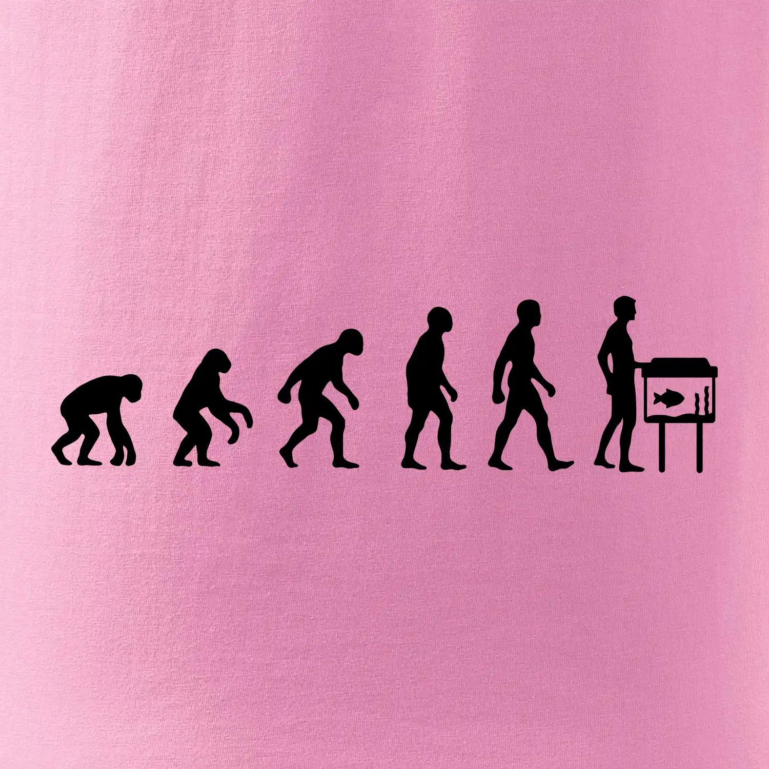 Evoluce akvaristika