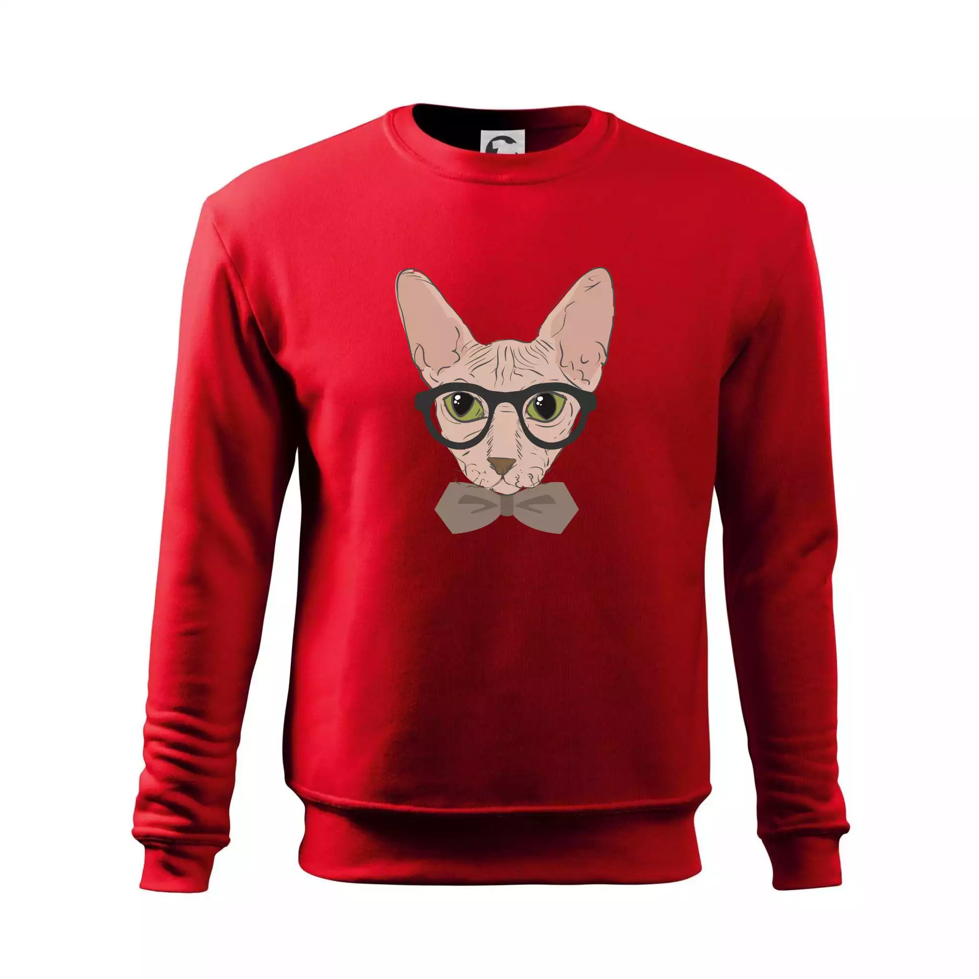 Hipster sphynx