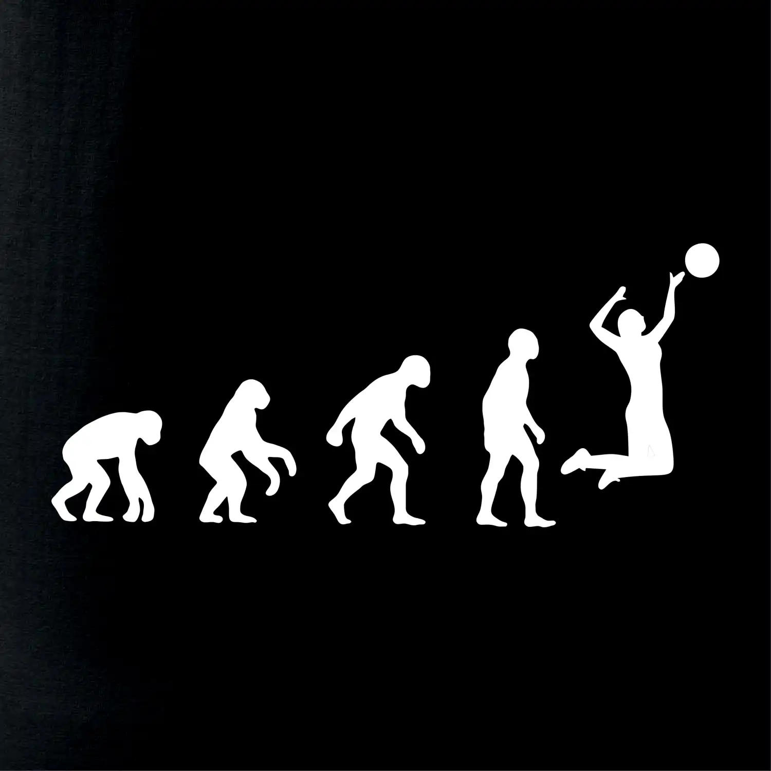 Evoluce volejbal žena