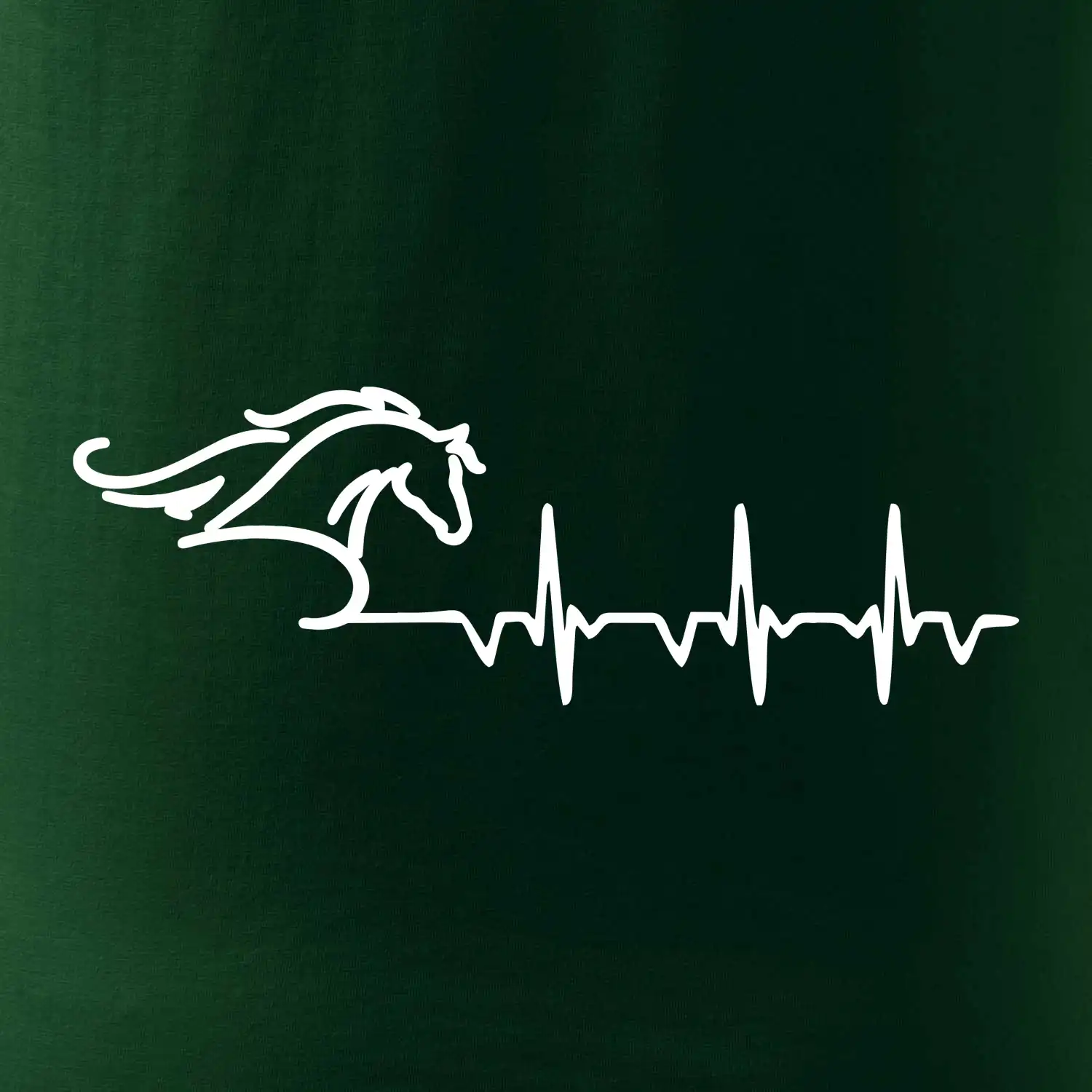 Hlava koně EKG