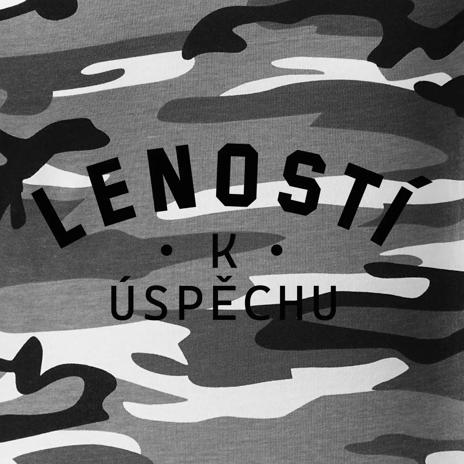 Leností k úspěchu - tiskací