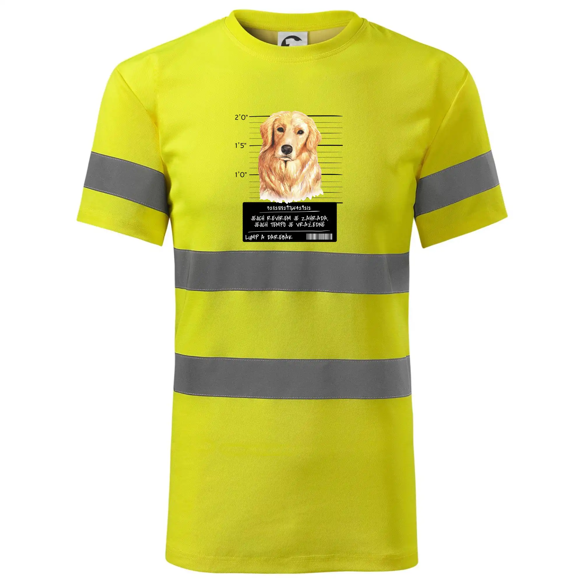 Lump a darebák zlatý retrívr