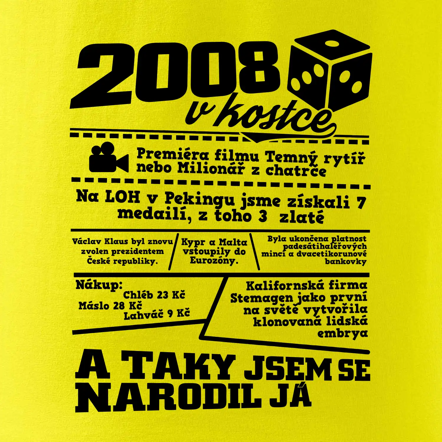2008 v kostce