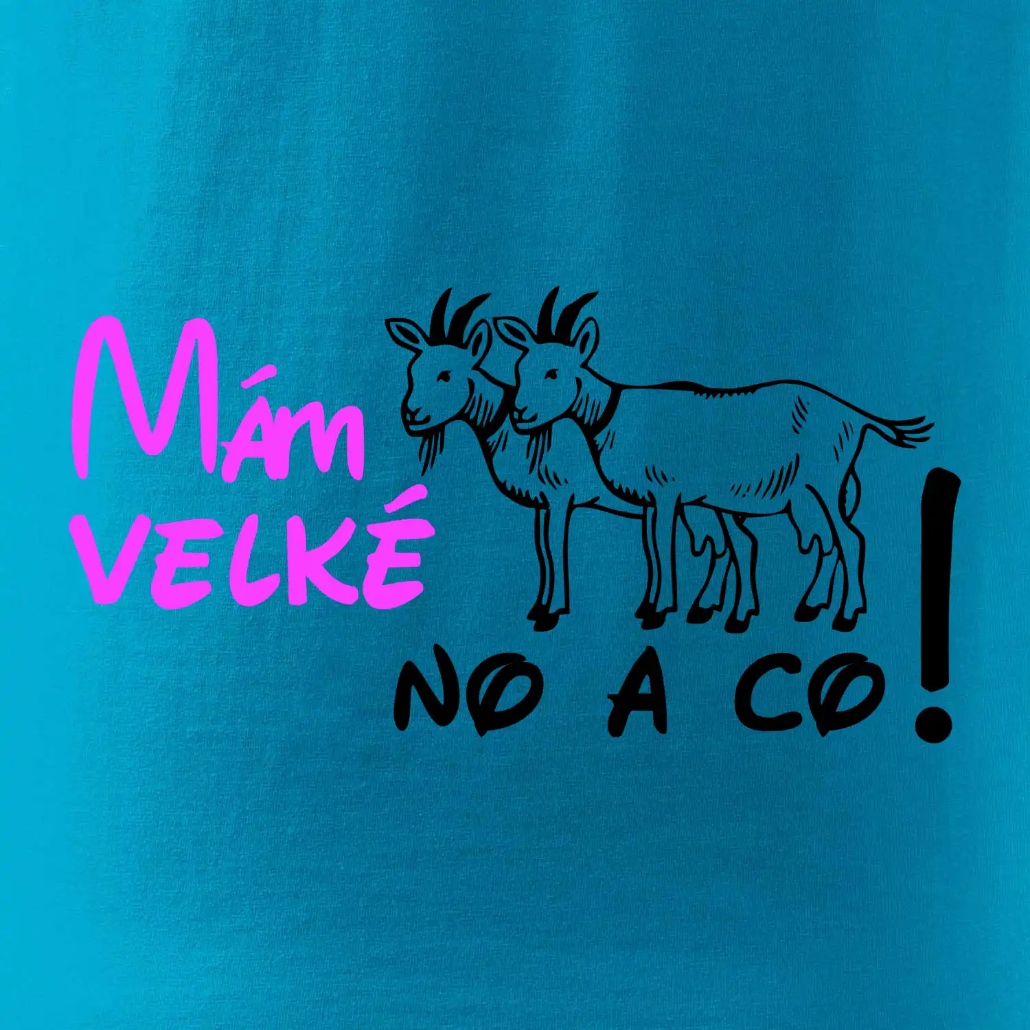 Mám velké kozy! No a co!