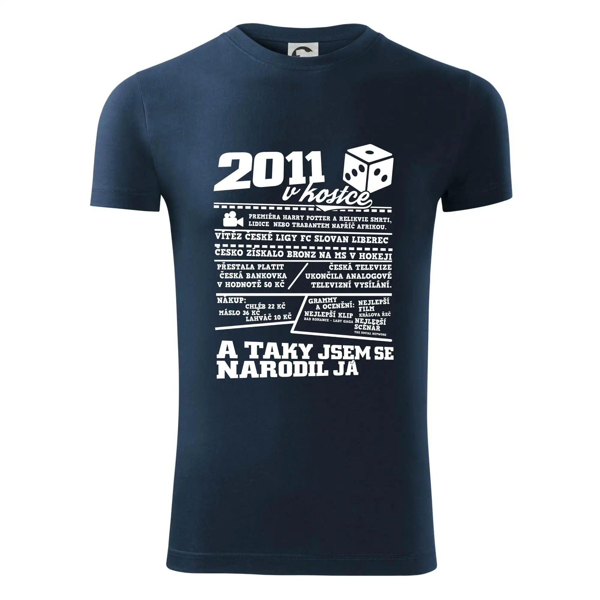 2011 v kostce